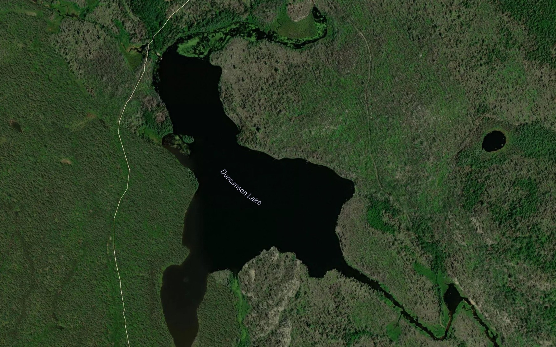 Satellite map of the Duncanson Lake