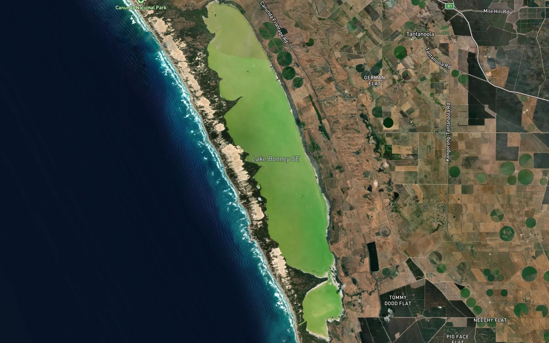 Satellite map of the Lake Bonney SE