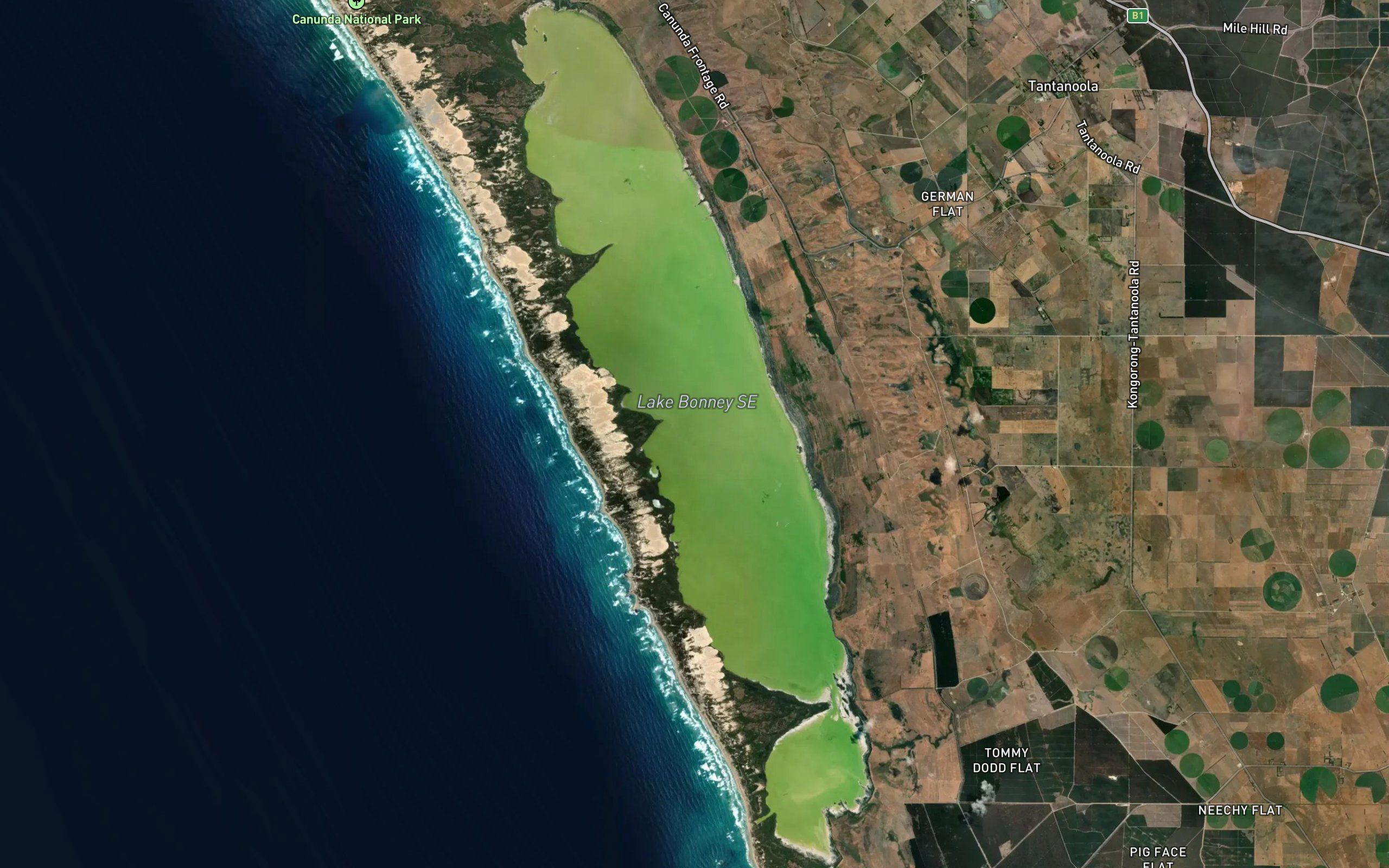 Lake Bonney SE