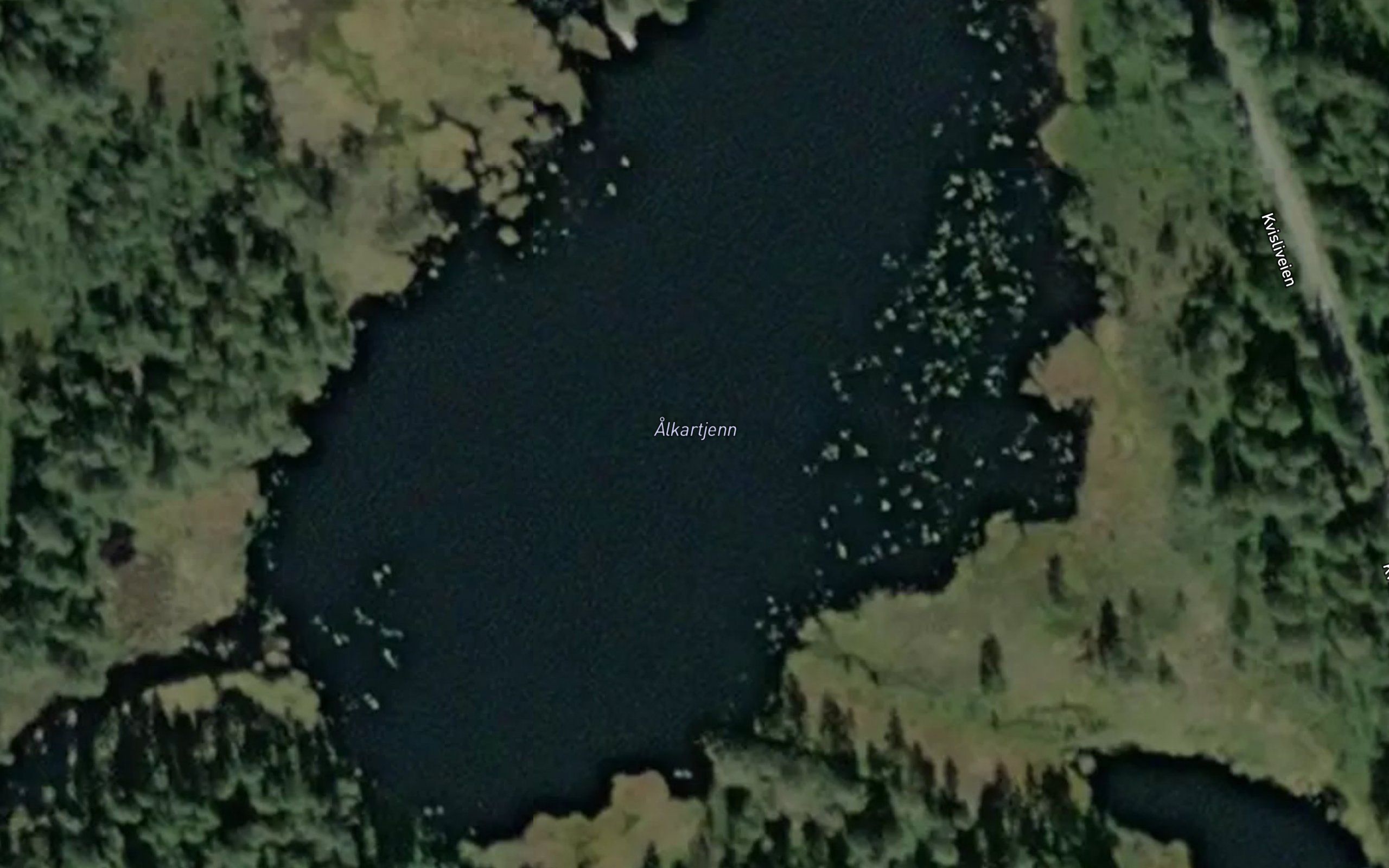 Alkartjenn
