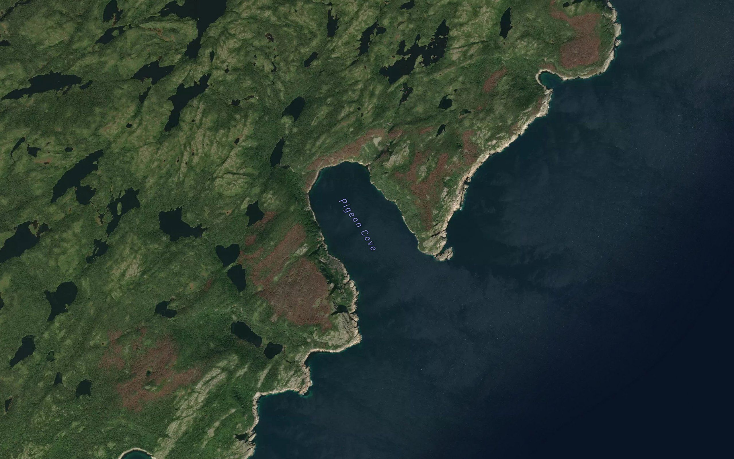 Pigeon Cove