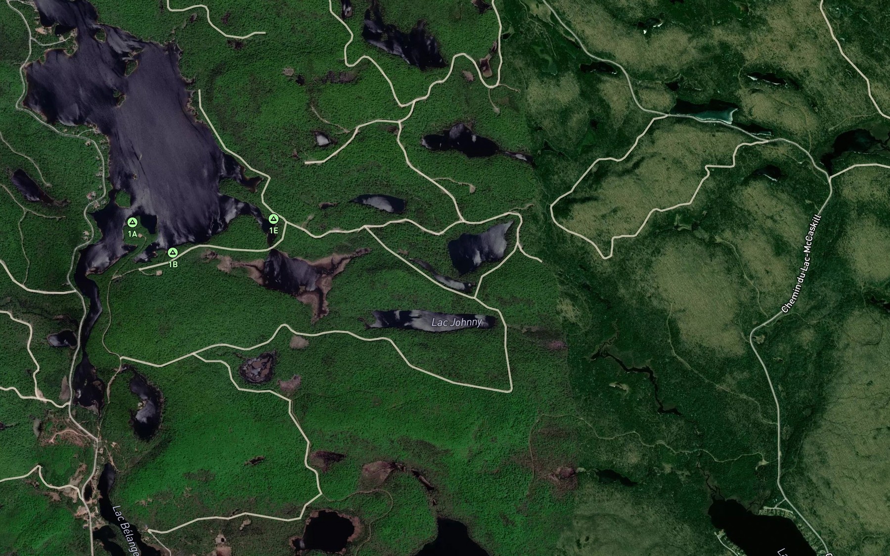 Satellite map of the Lac du Panais