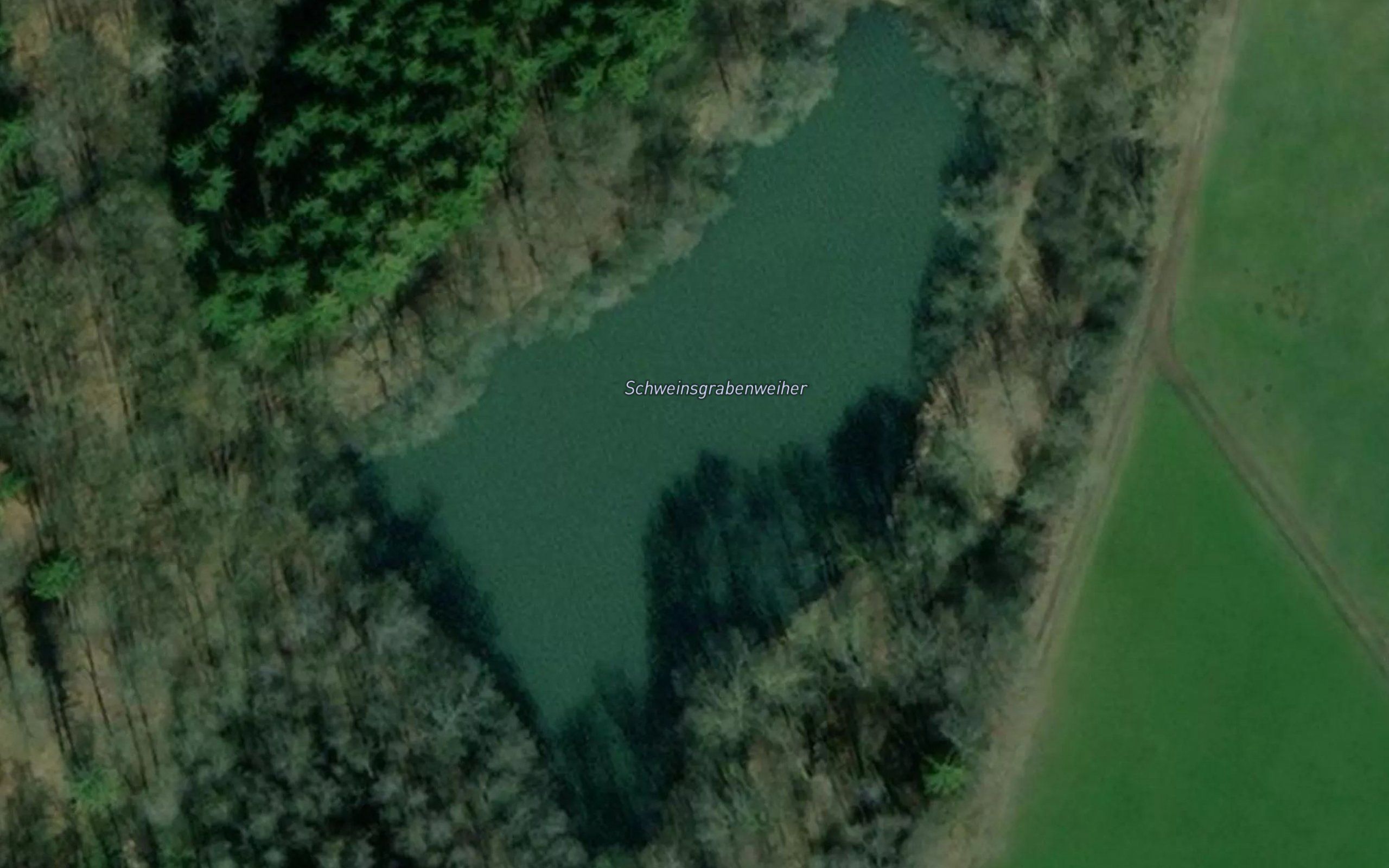 Schweinsgrabenweiher