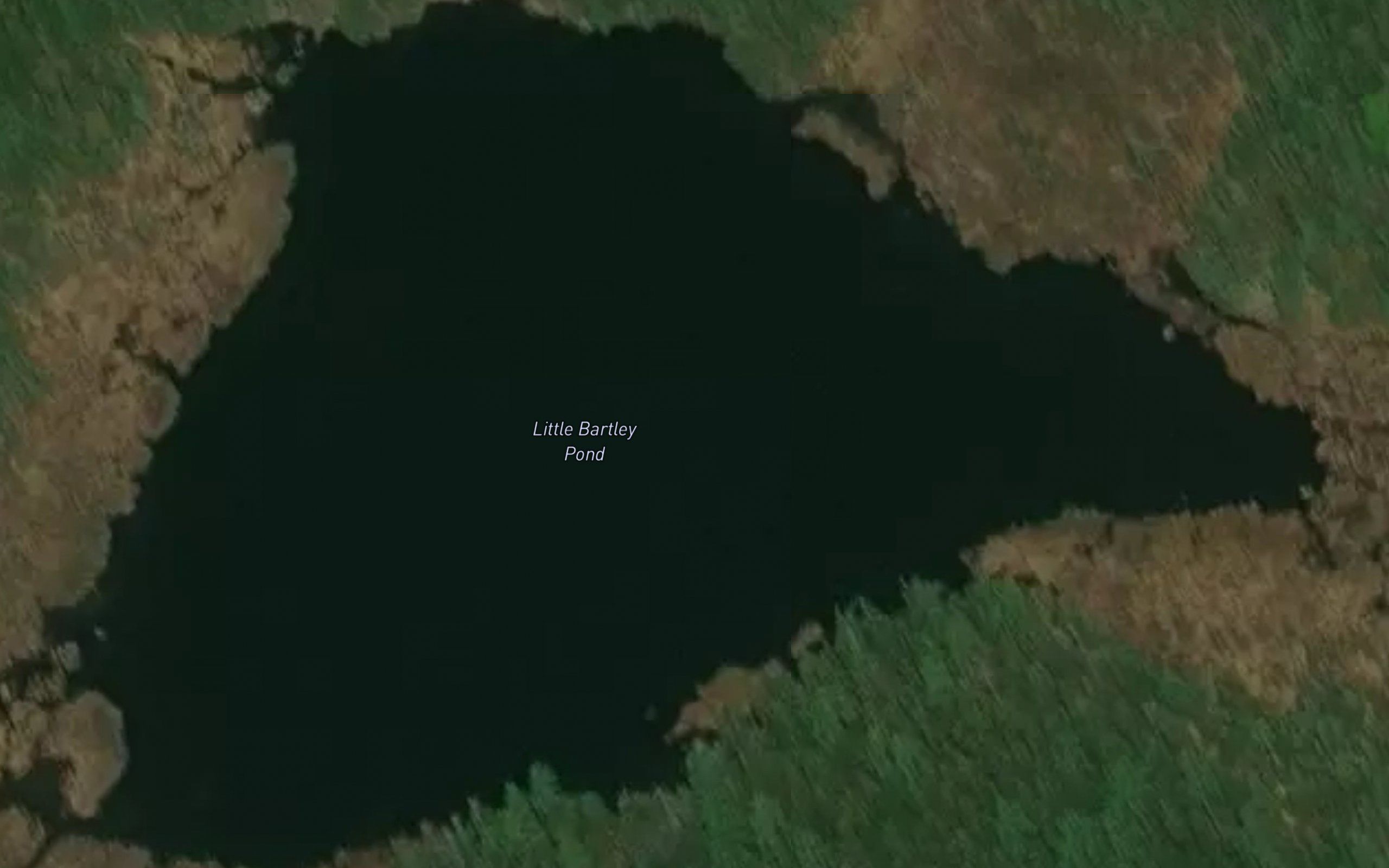 Little Bartley Pond