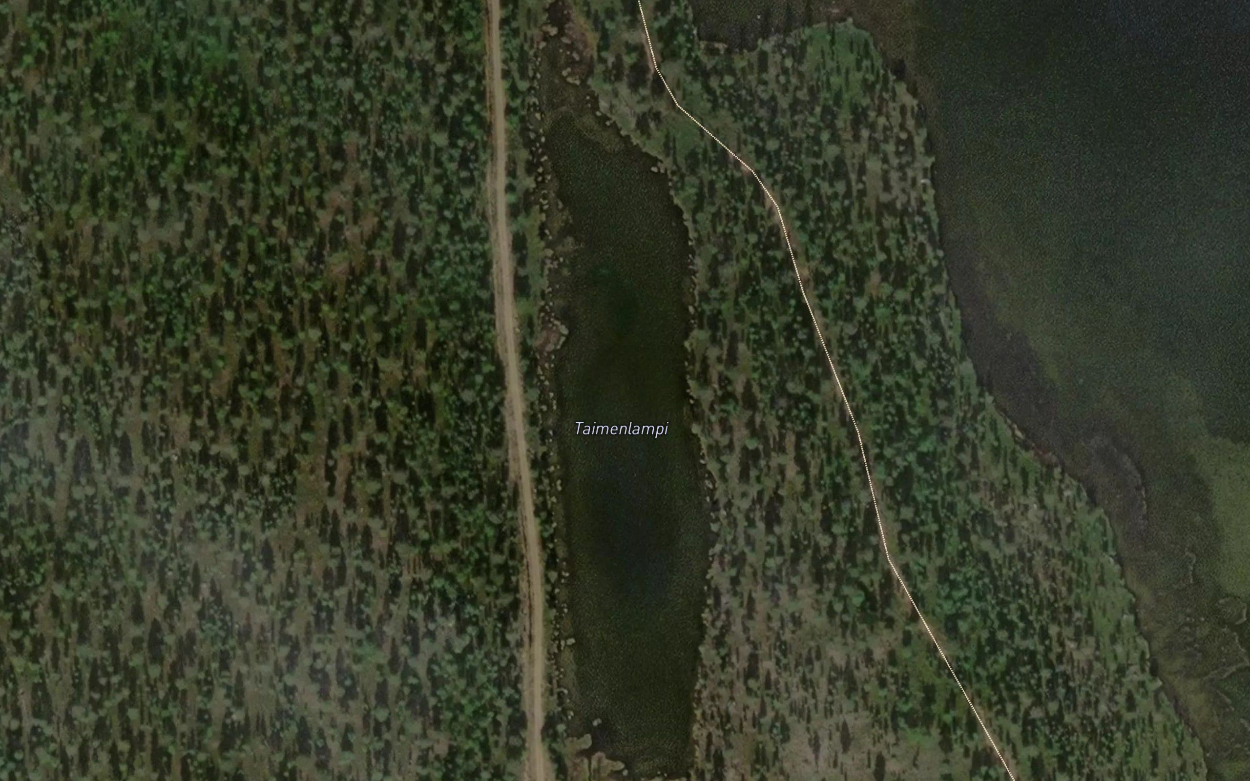 Taimenlampi