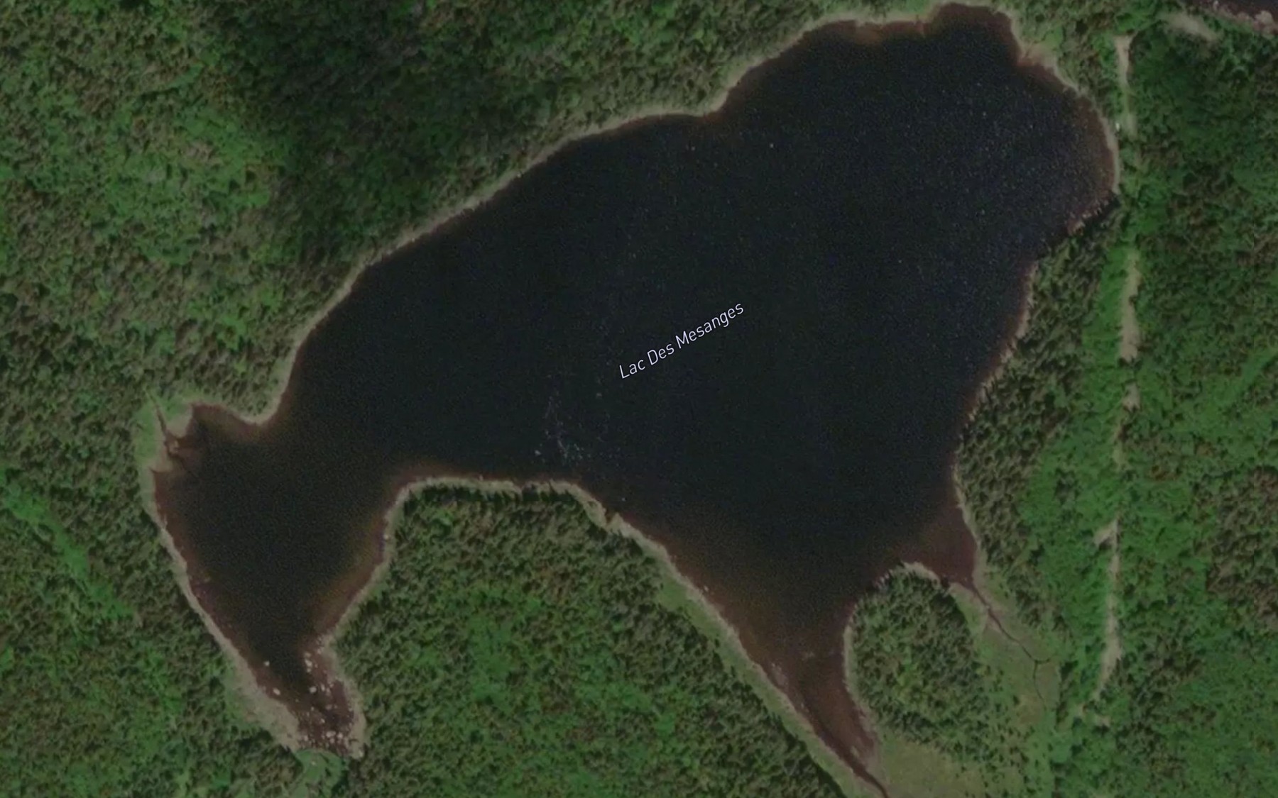 Satellite map of the Lac des Mesanges