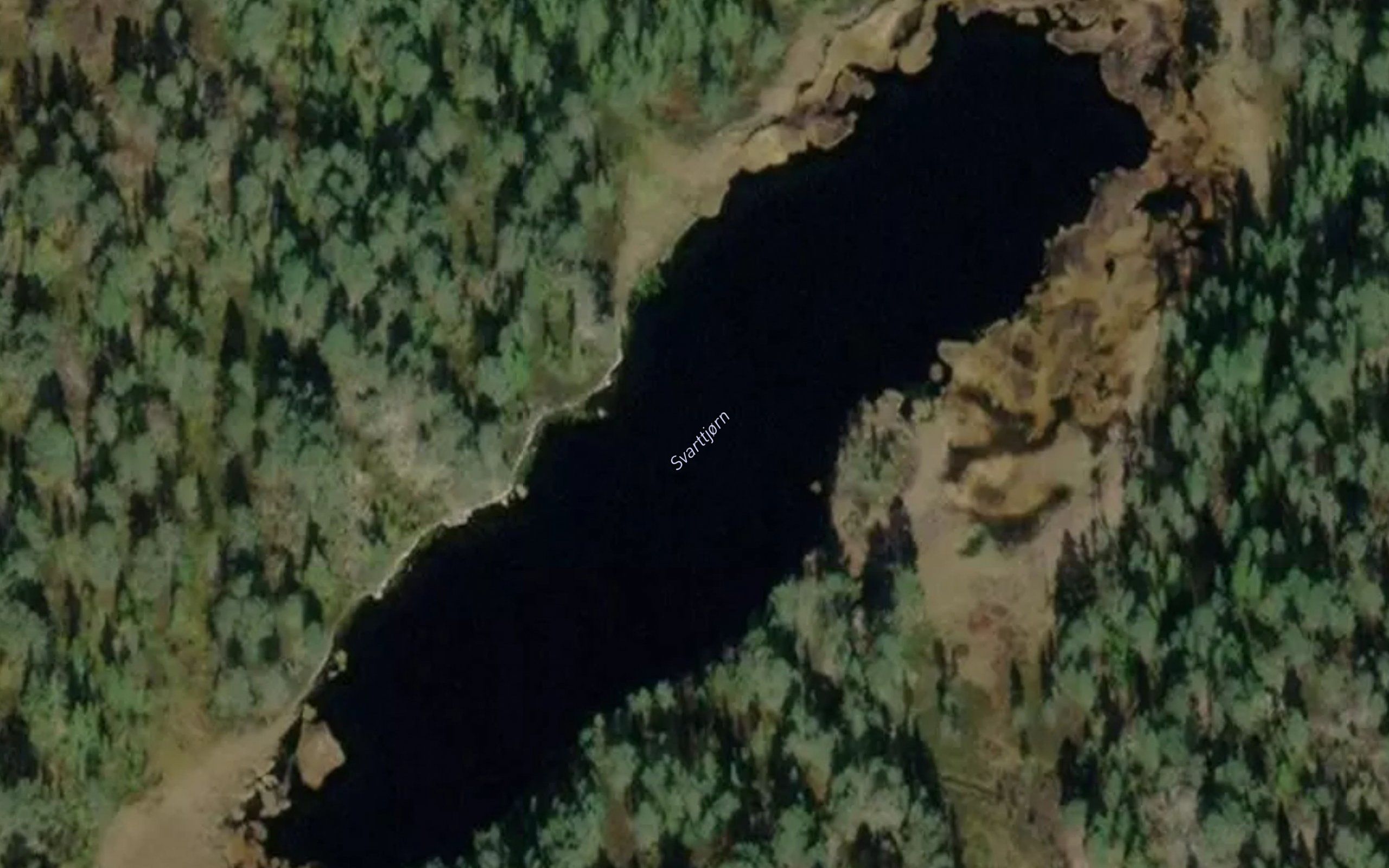 Svarttjorn