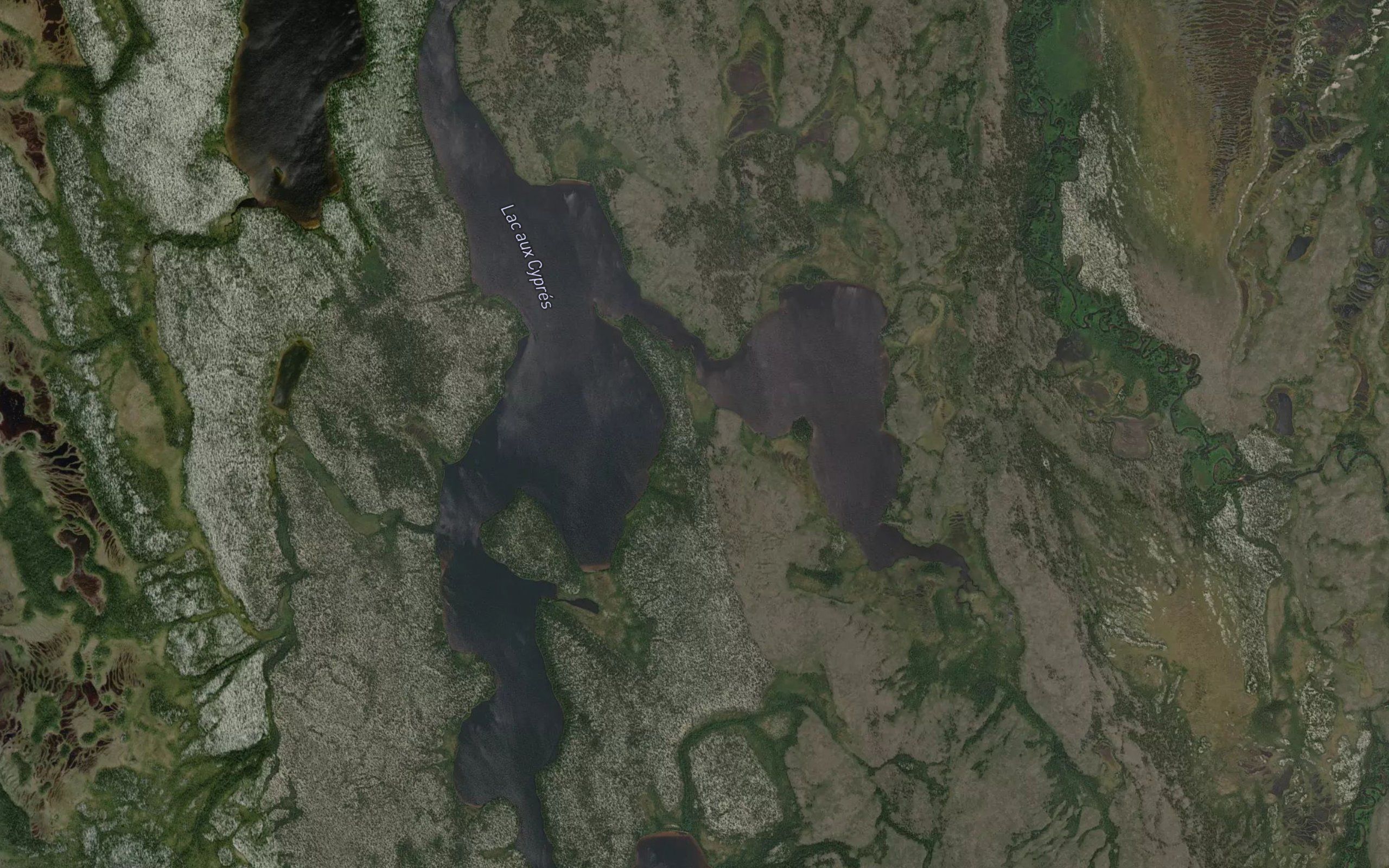 Lac aux Cypres