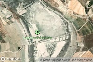 Laguna de Salinas
