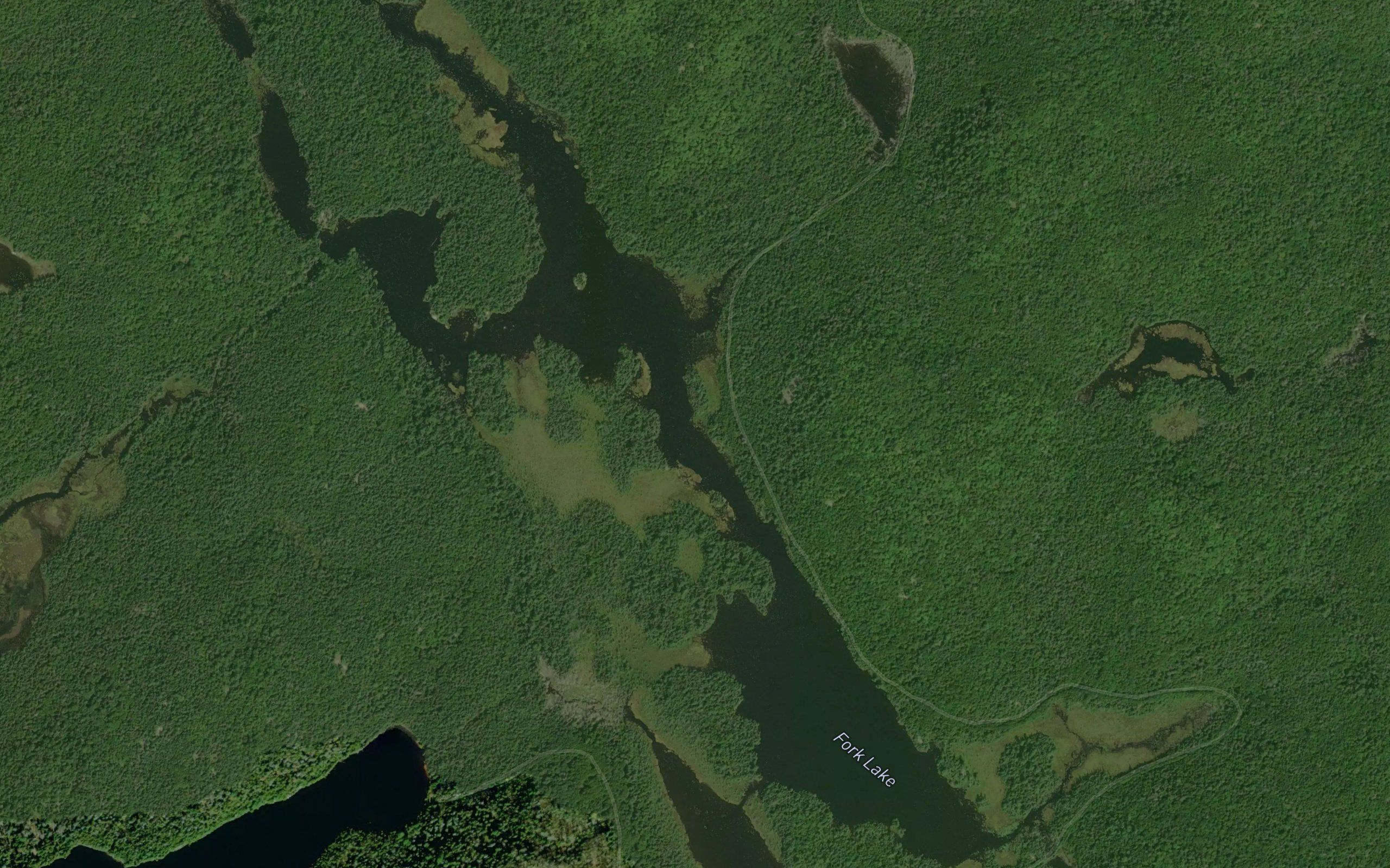 Fork Lake