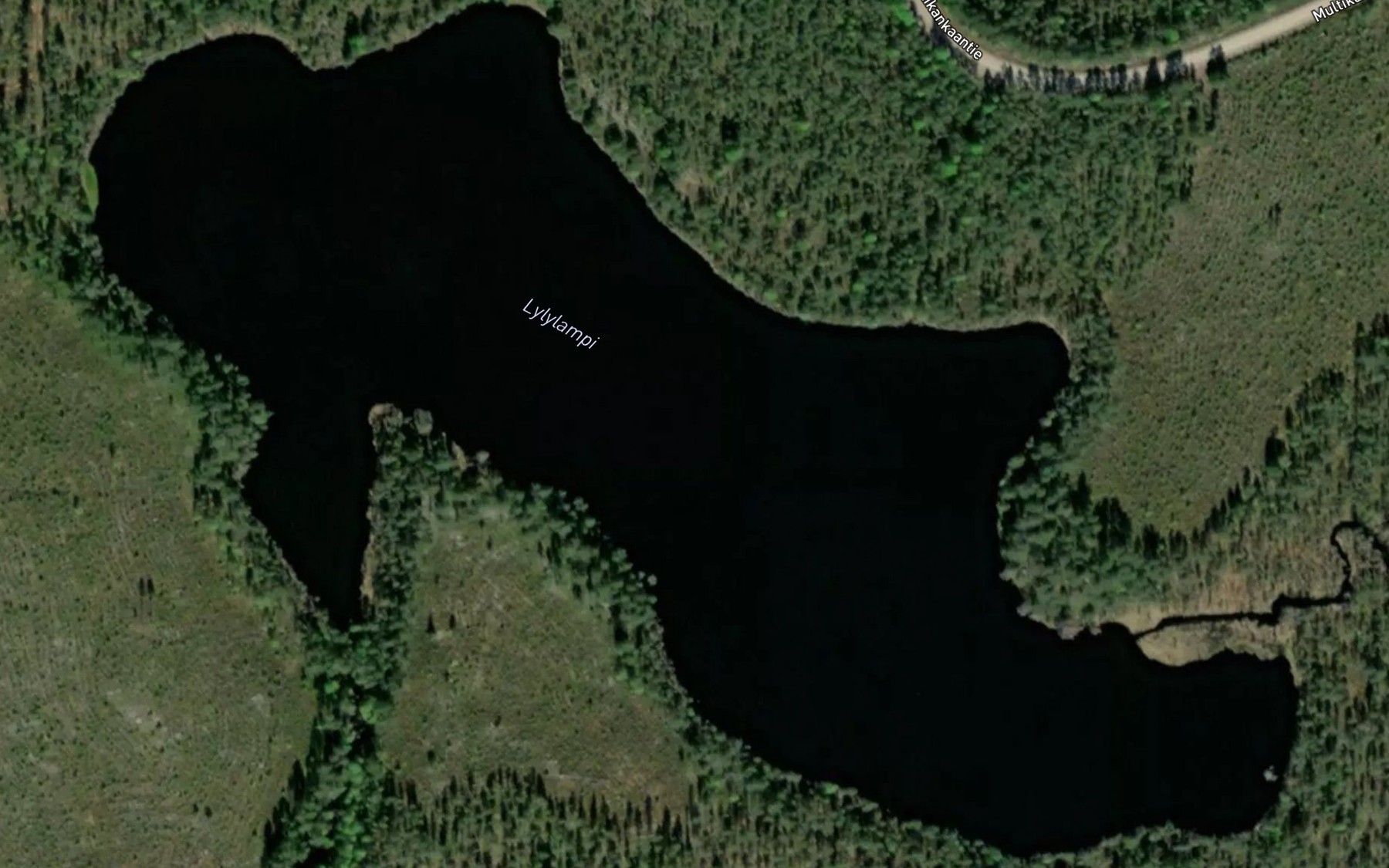Satellite map of the Lylylampi