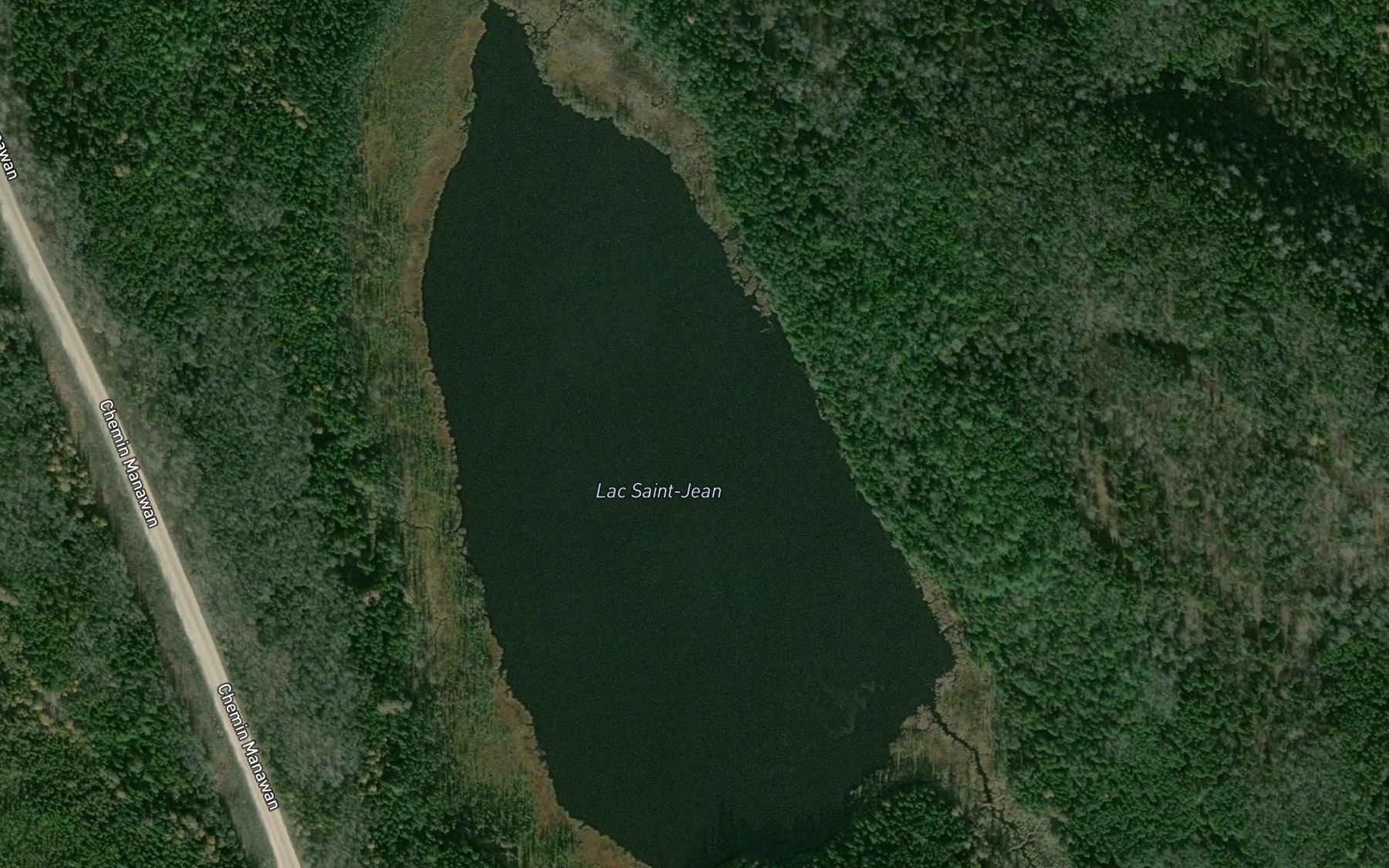 Satellite map of the Lac Saint-Jean