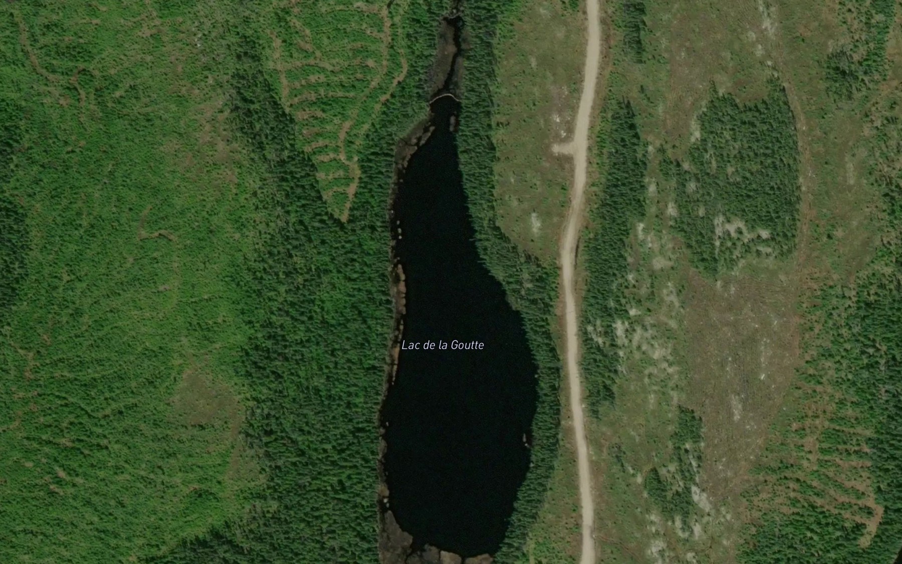 Satellite map of the Lac de la Goutte