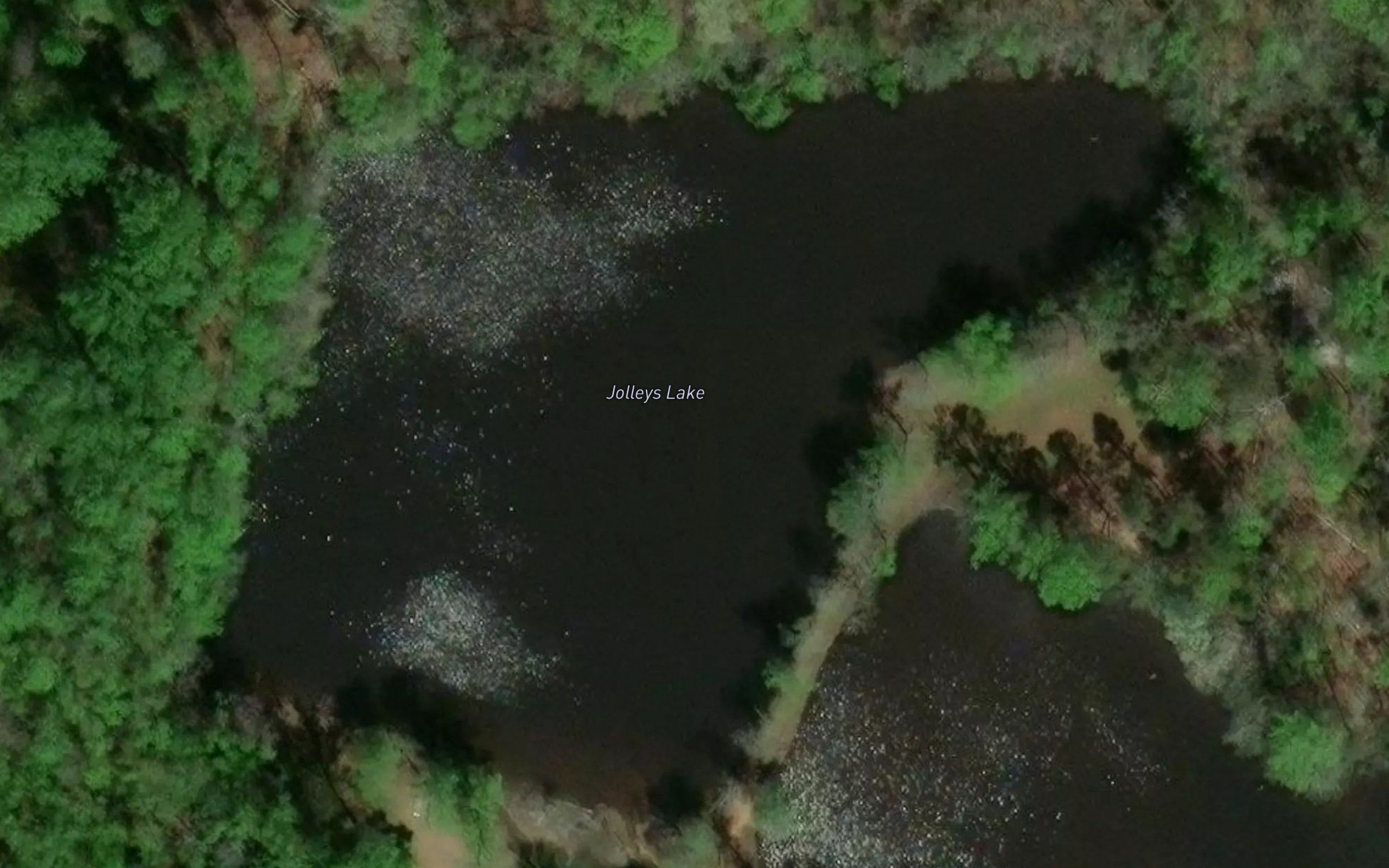 Jolleys Lake