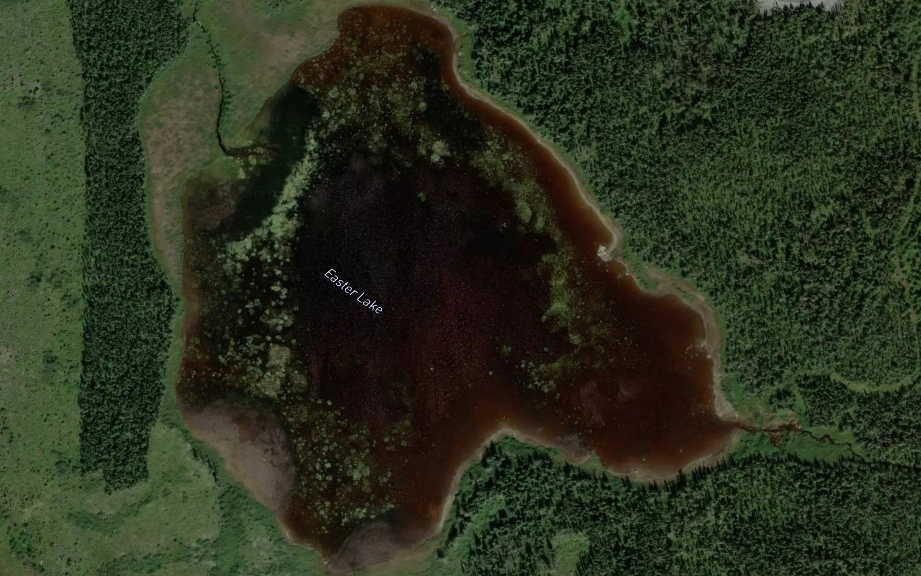 Satellite map of the Easter Lake