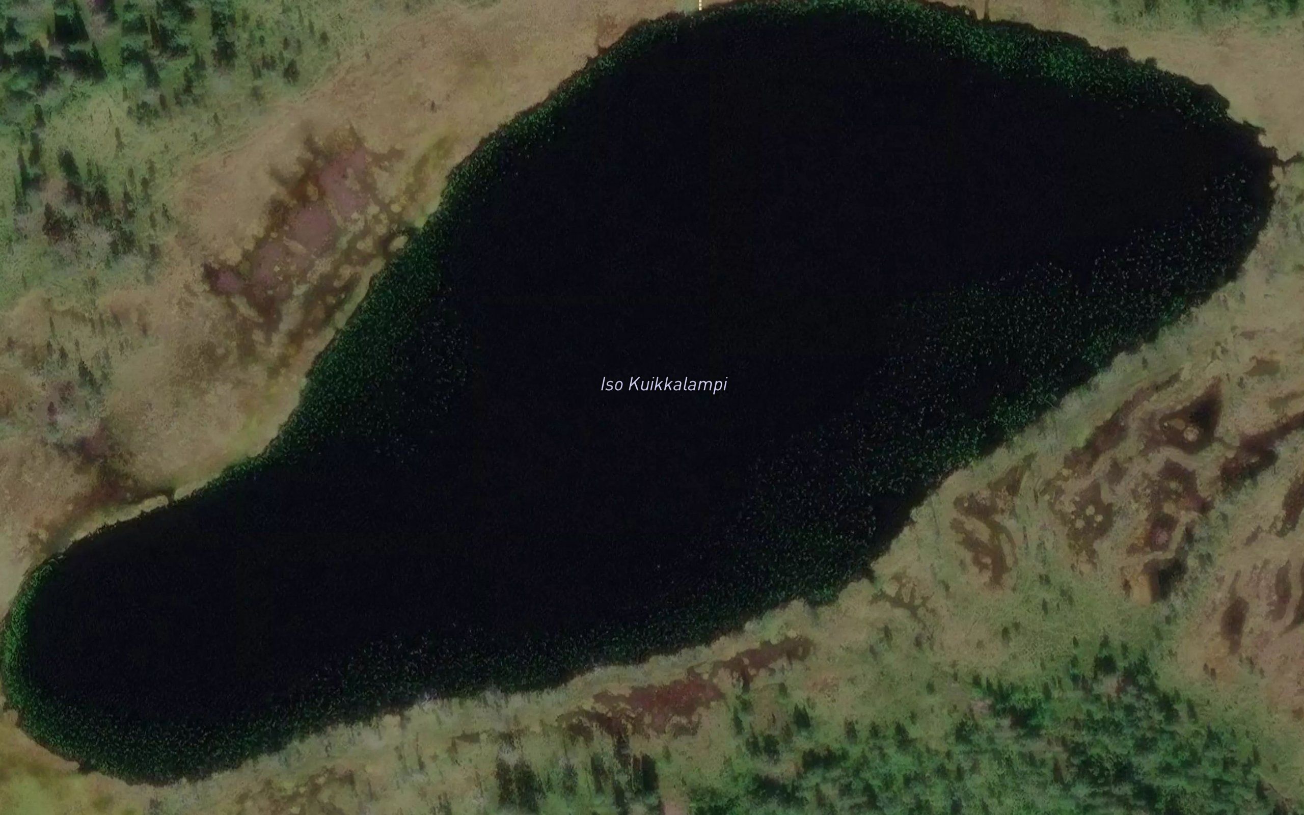 Iso Kuikkalampi
