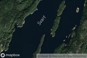 Svart