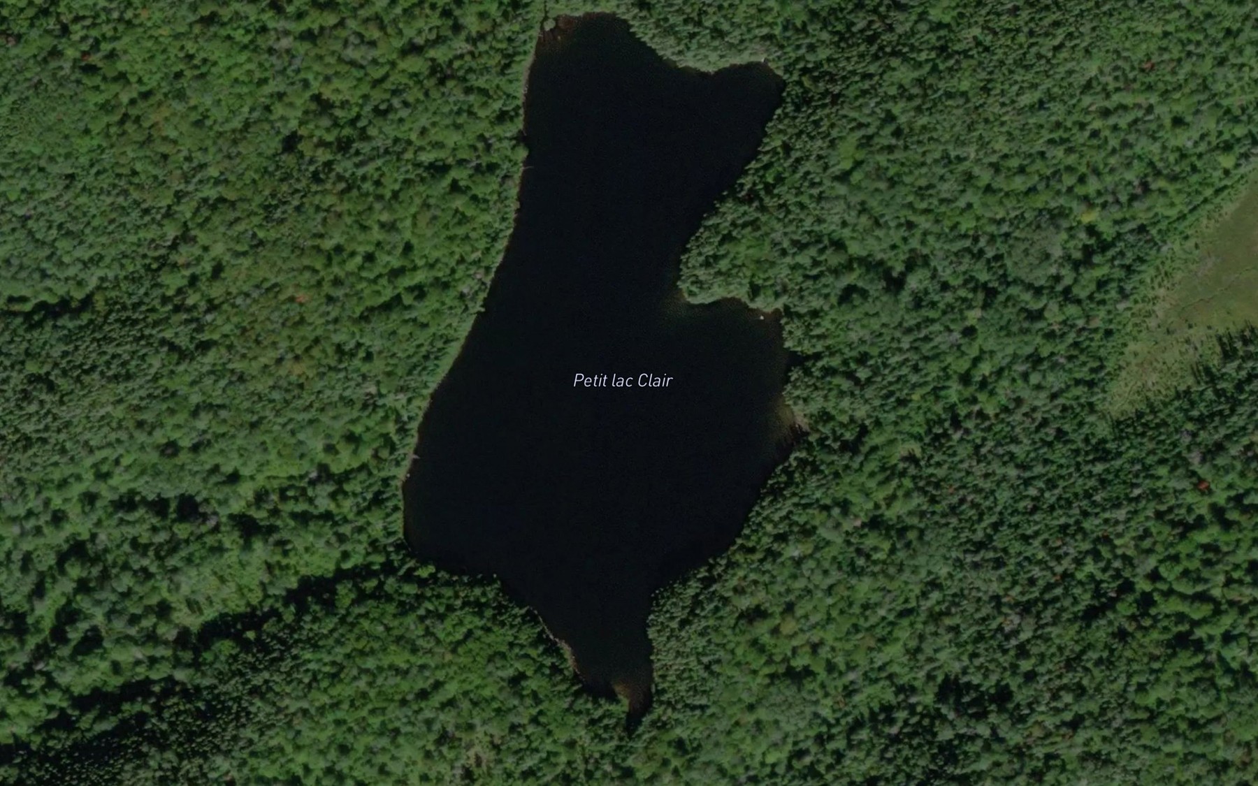 Satellite map of the Petit lac Clair