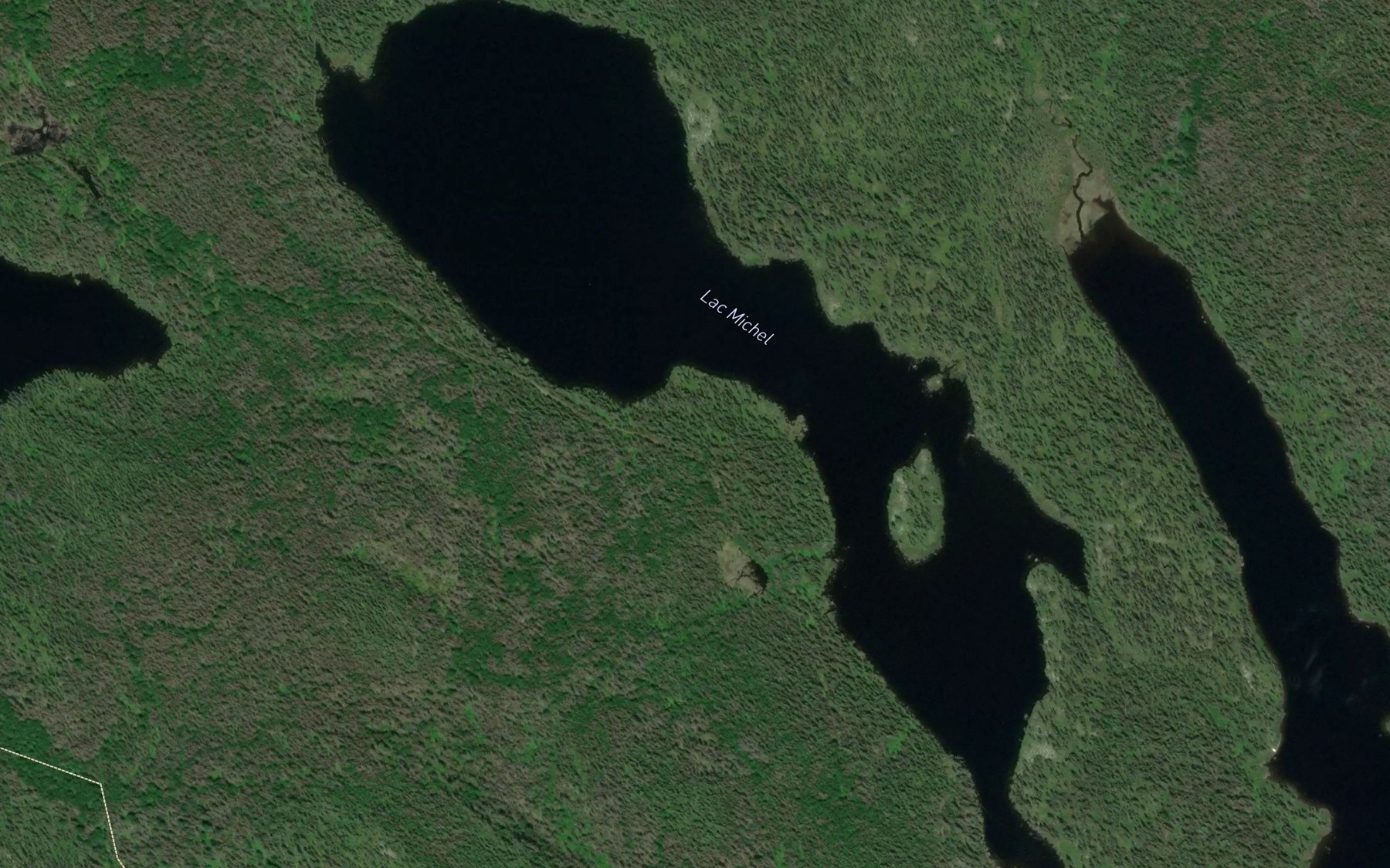 Satellite map of the Lac Michel