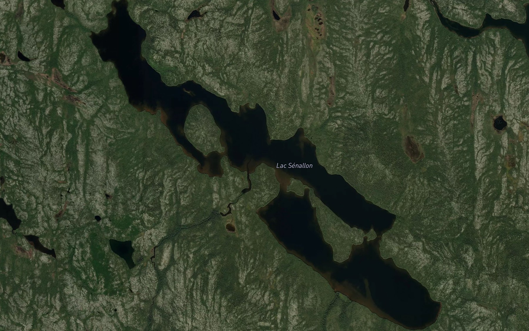Satellite map of the Lac Senallon