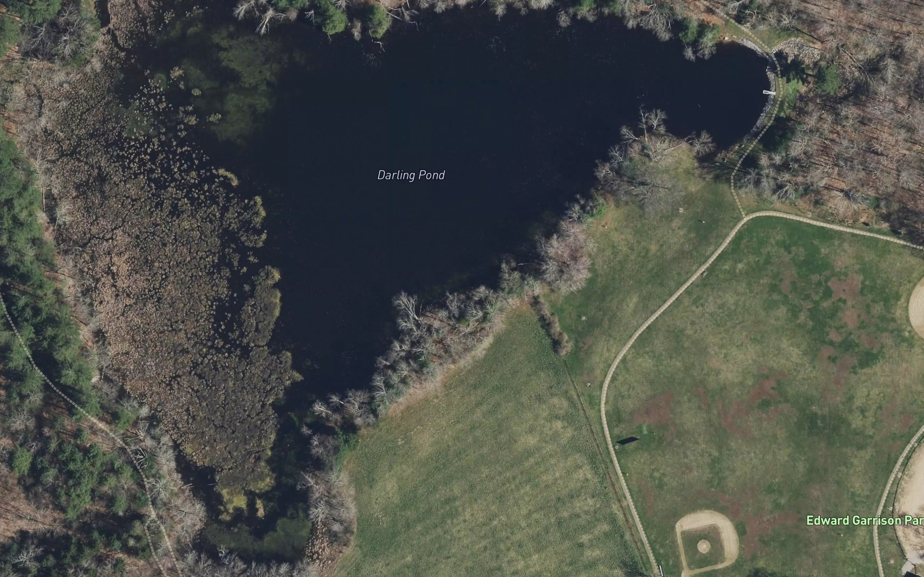 Satellite map of the Darling Pond
