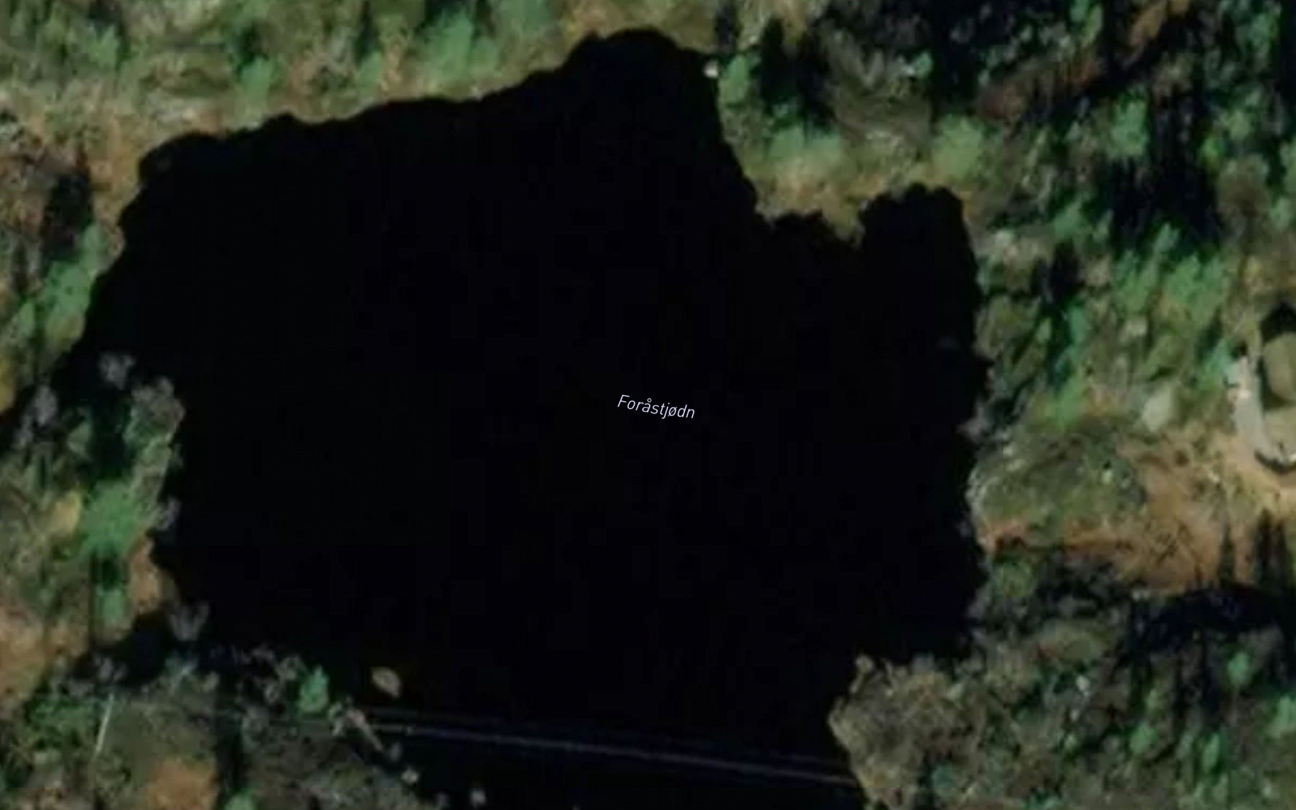 Lomtjorn