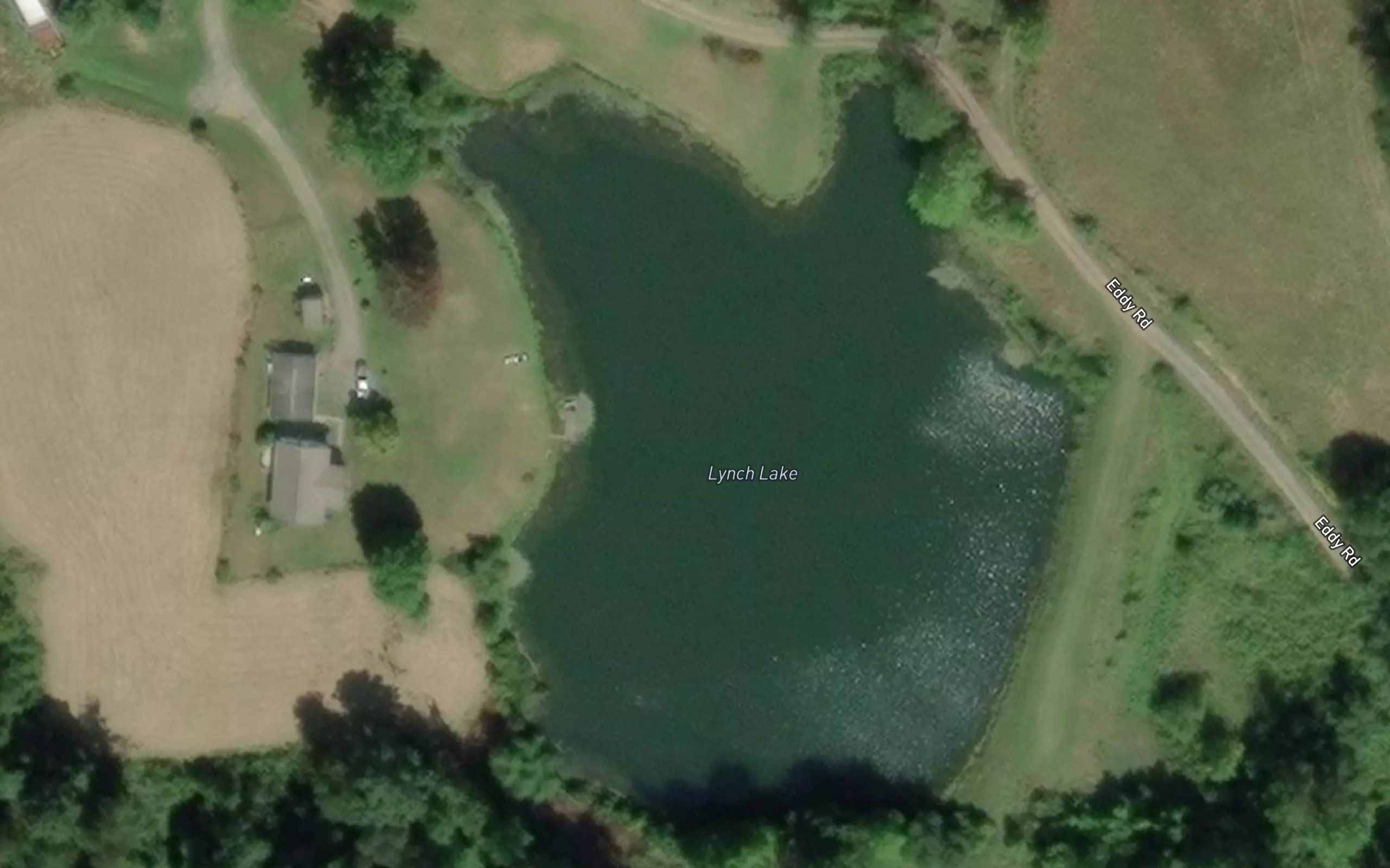 Lynch Lake