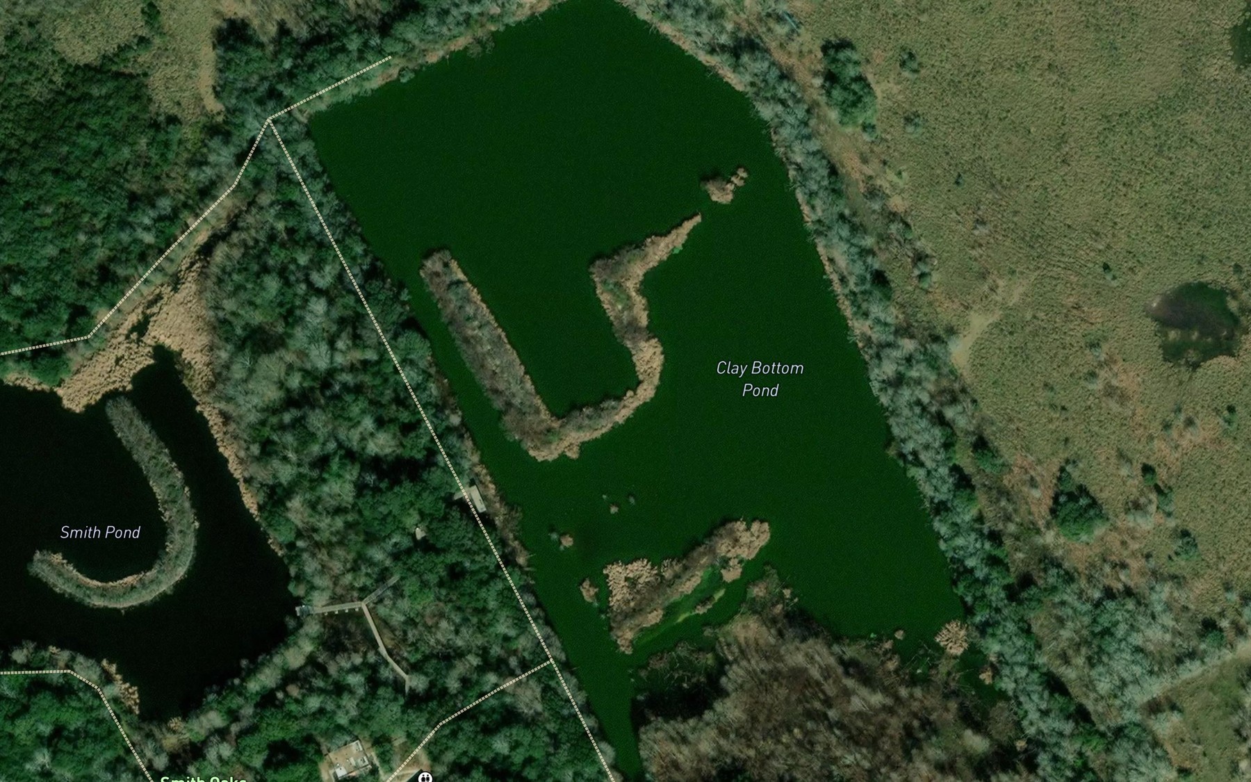 Satellite map of the Clay Bottom Pond