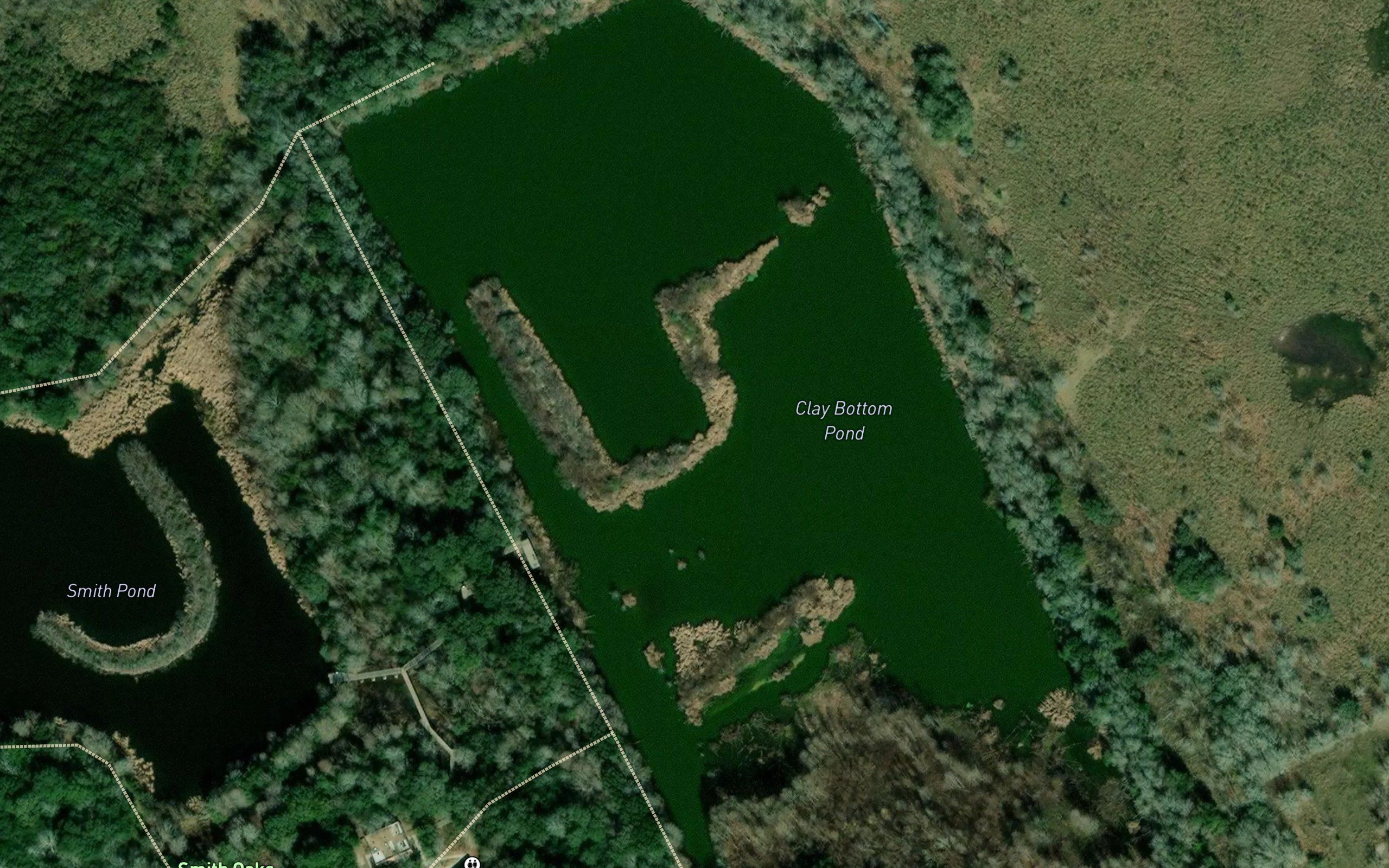 Clay Bottom Pond