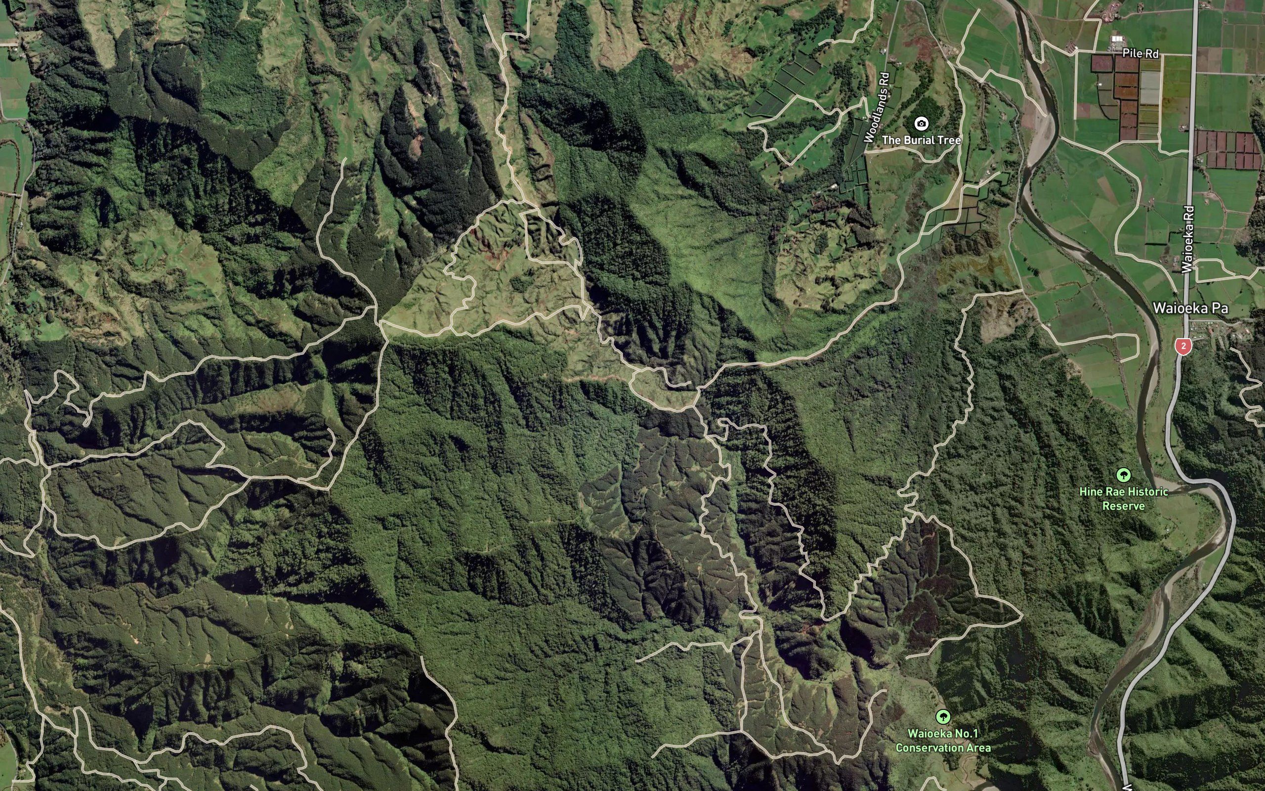 Ruahema Stream