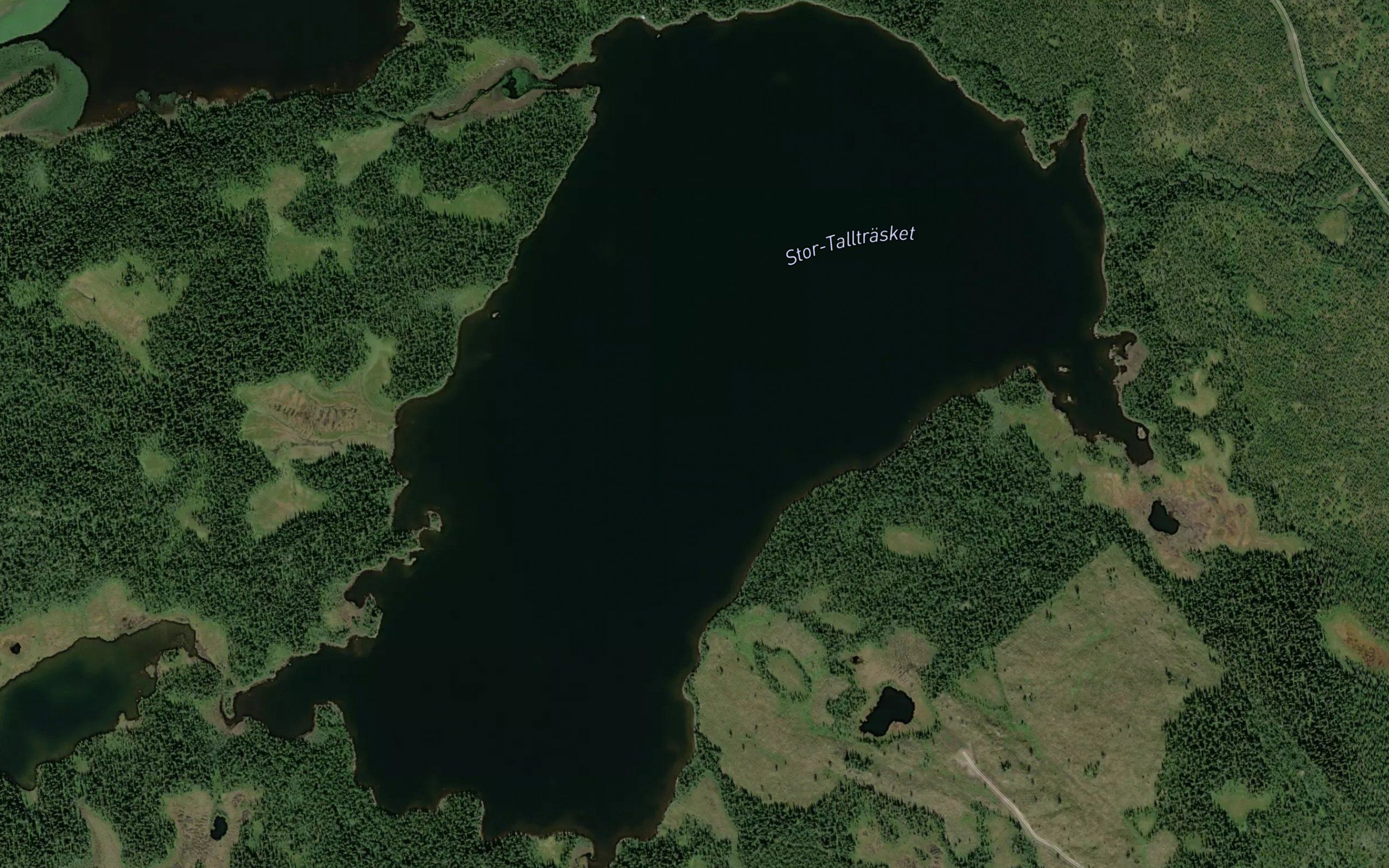 Stor-Talltrasket