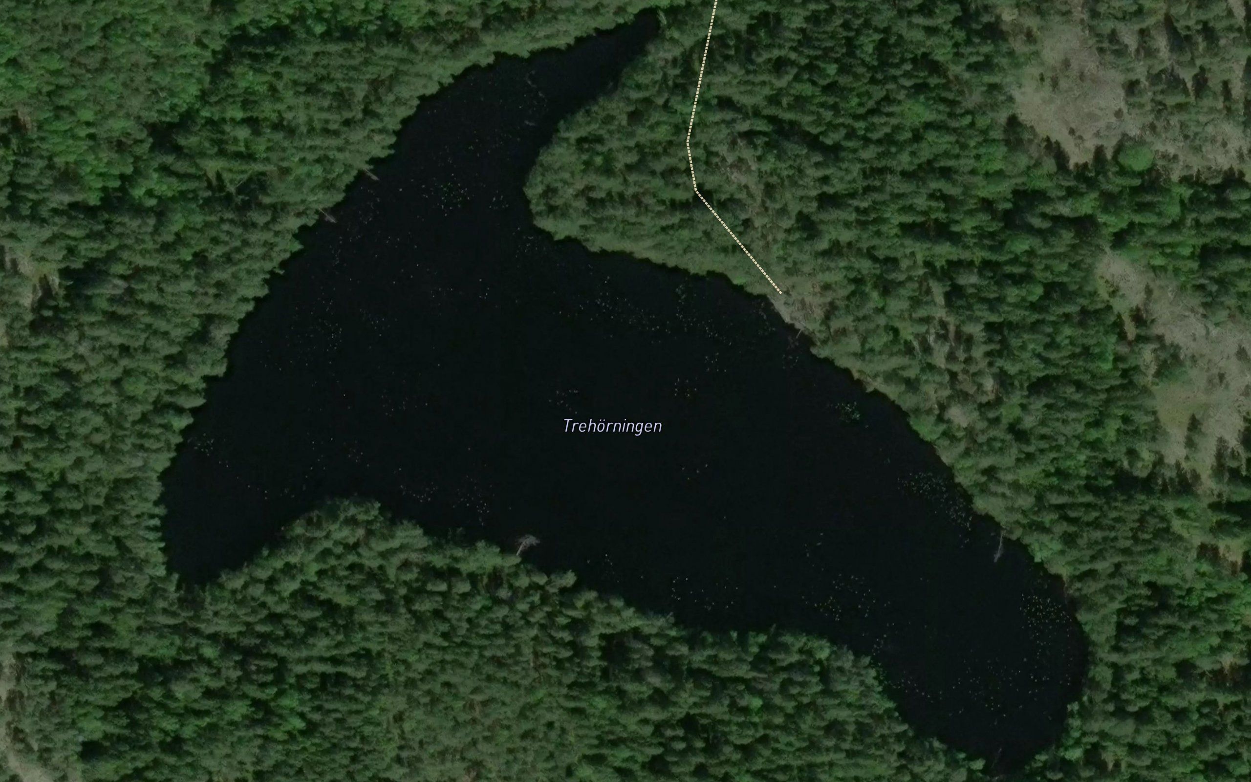 Trehorningen