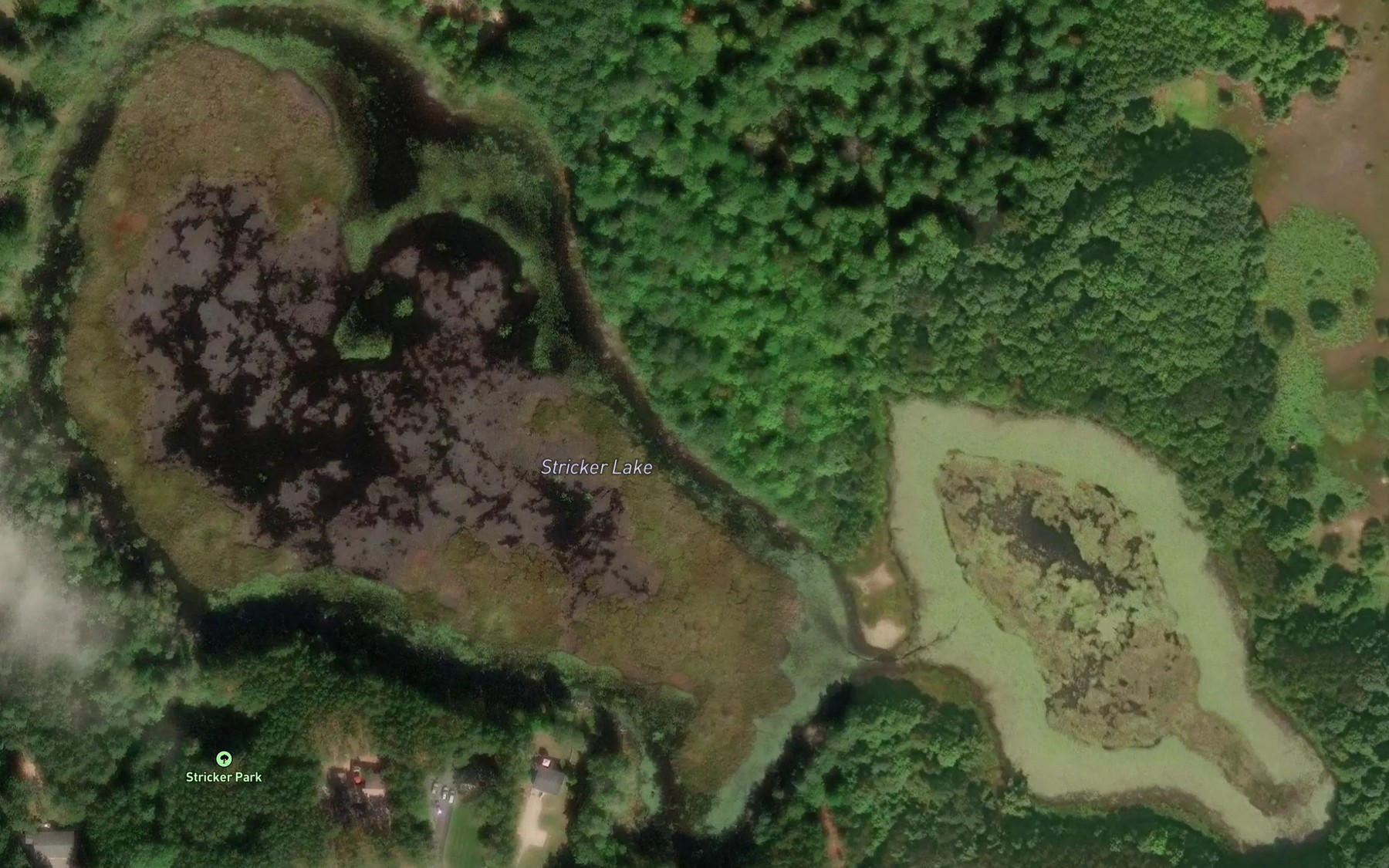 Satellite map of the Stricker Lake