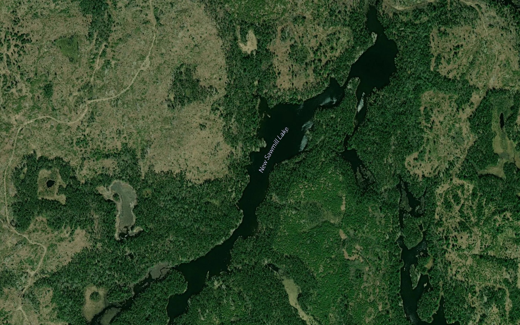 Satellite map of the New Sawmill Lake