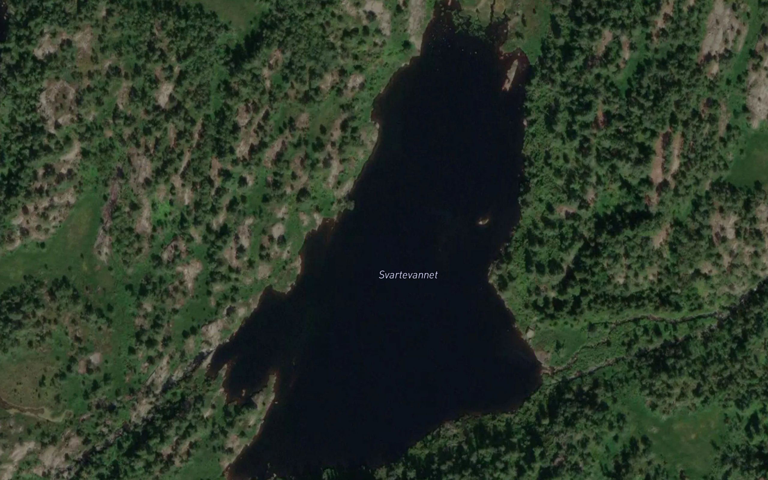 Svartevannet