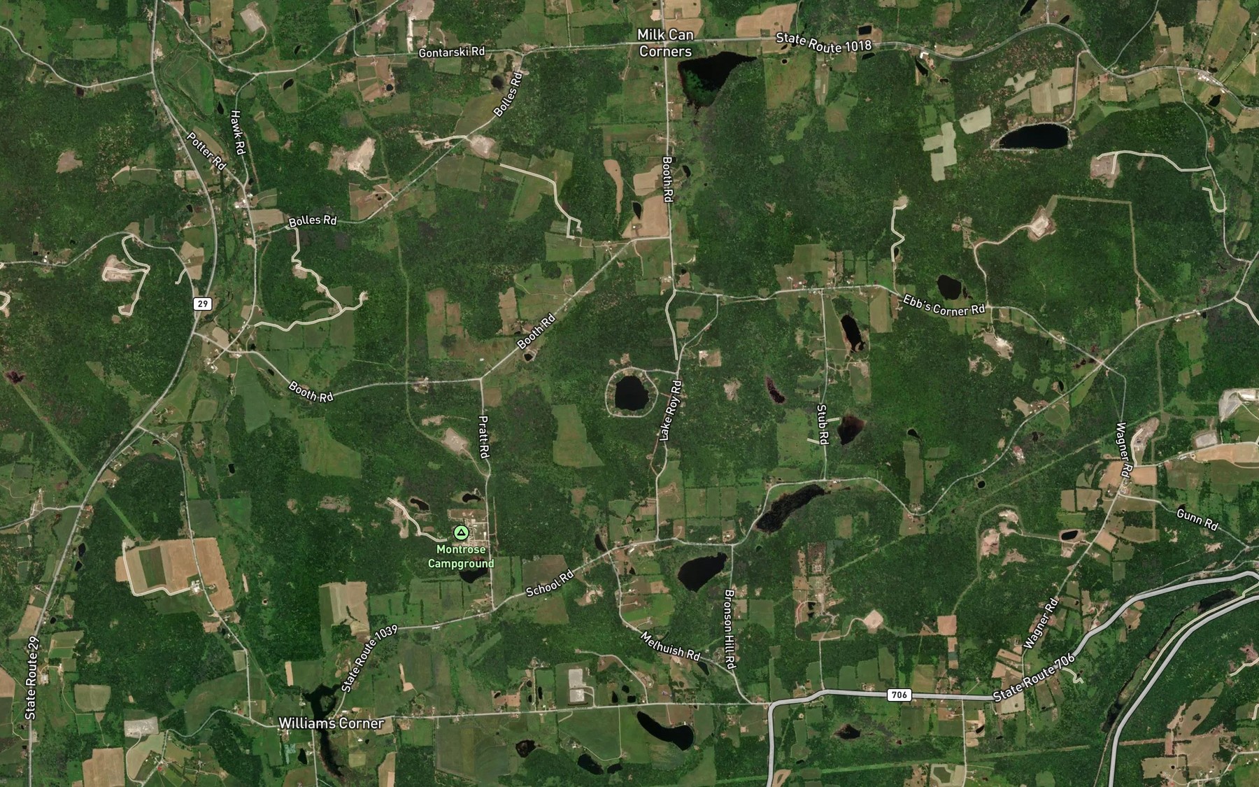 Satellite map of the Lake Roy