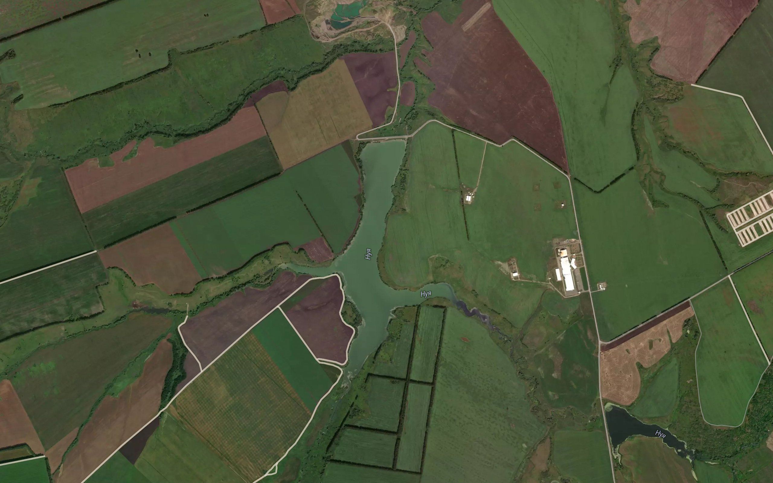 Paleyka
