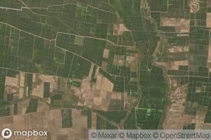 Distributary Number Seventy-eight