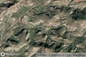 Canada Palo Blanco Alto