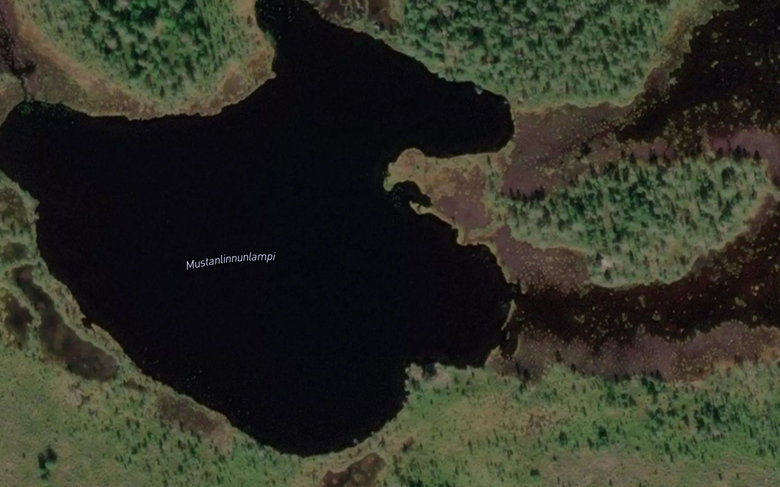 Mustanlinnunlampi