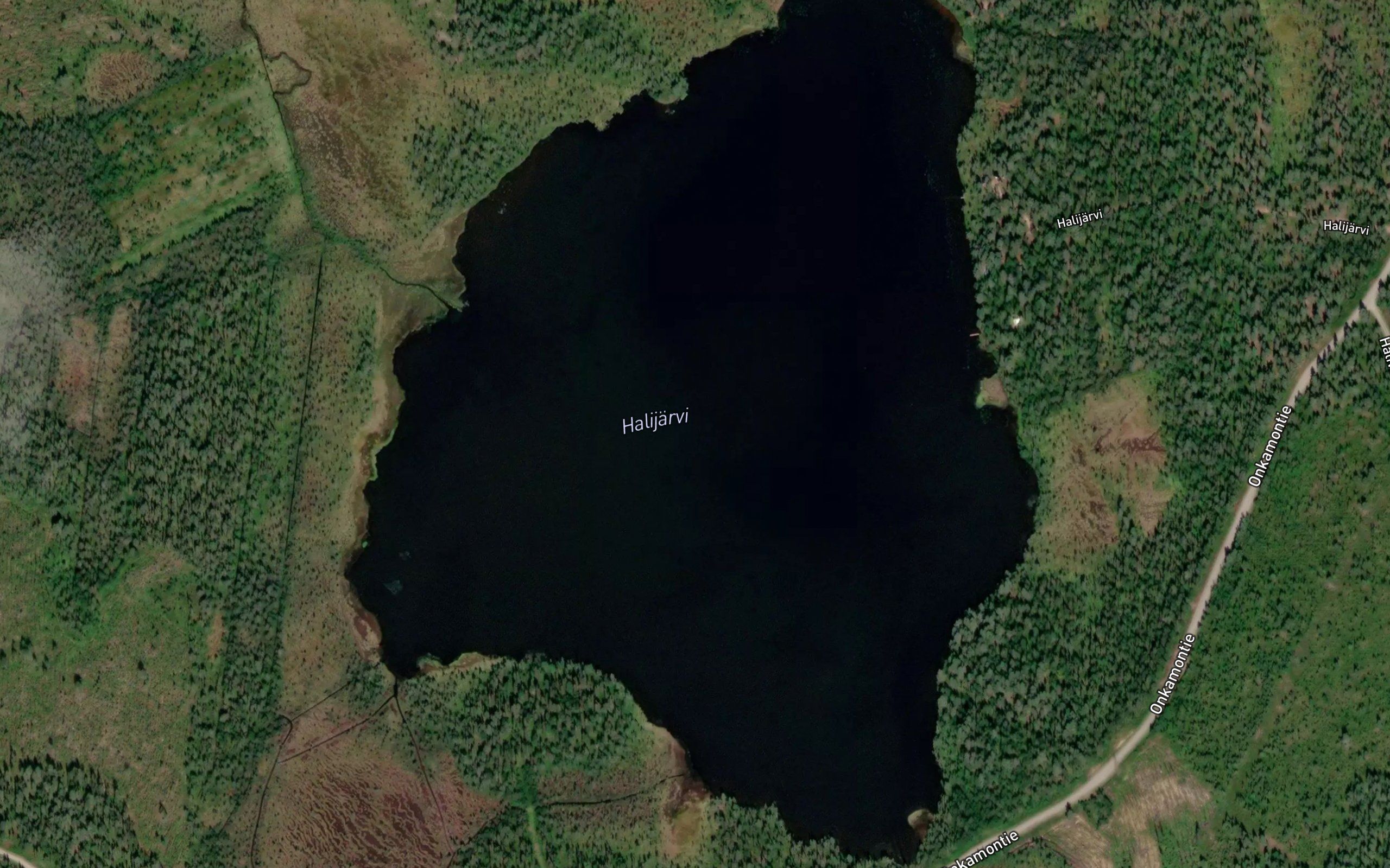 Halijarvi