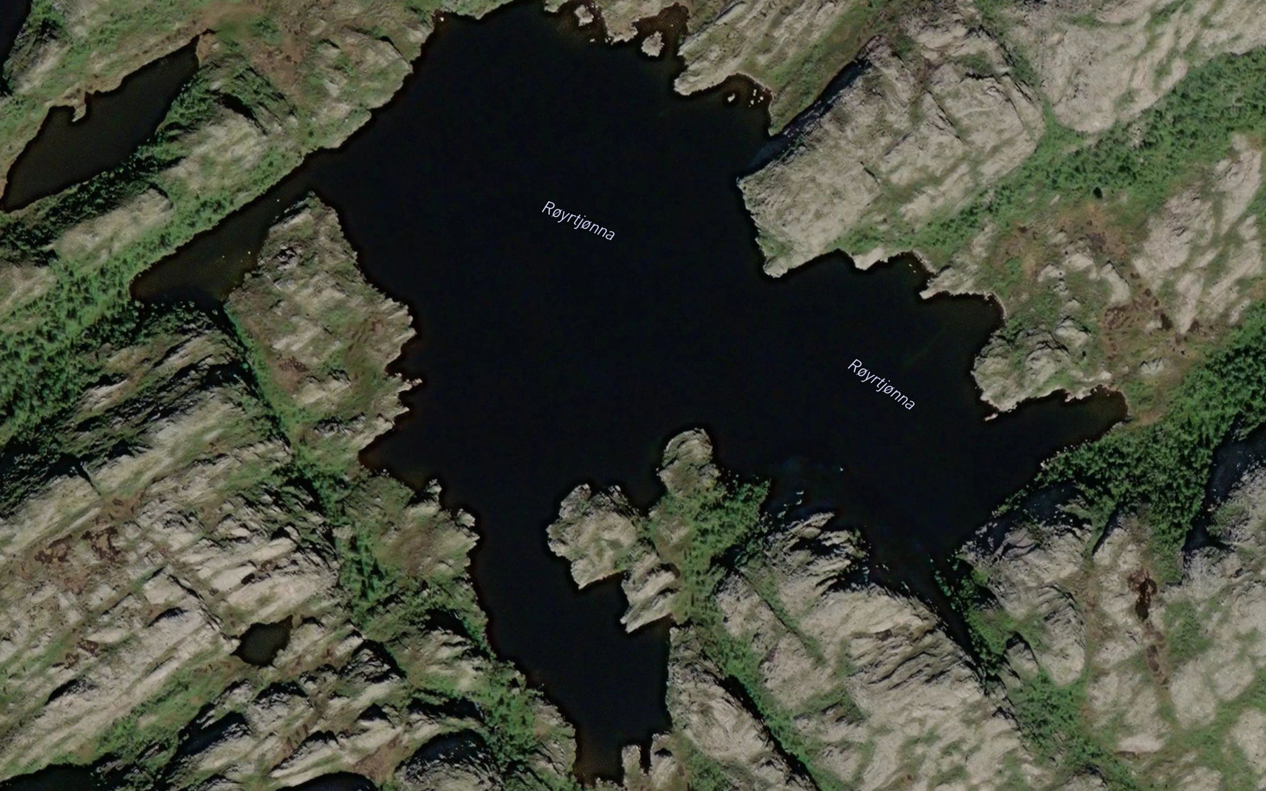 Royrtjorna