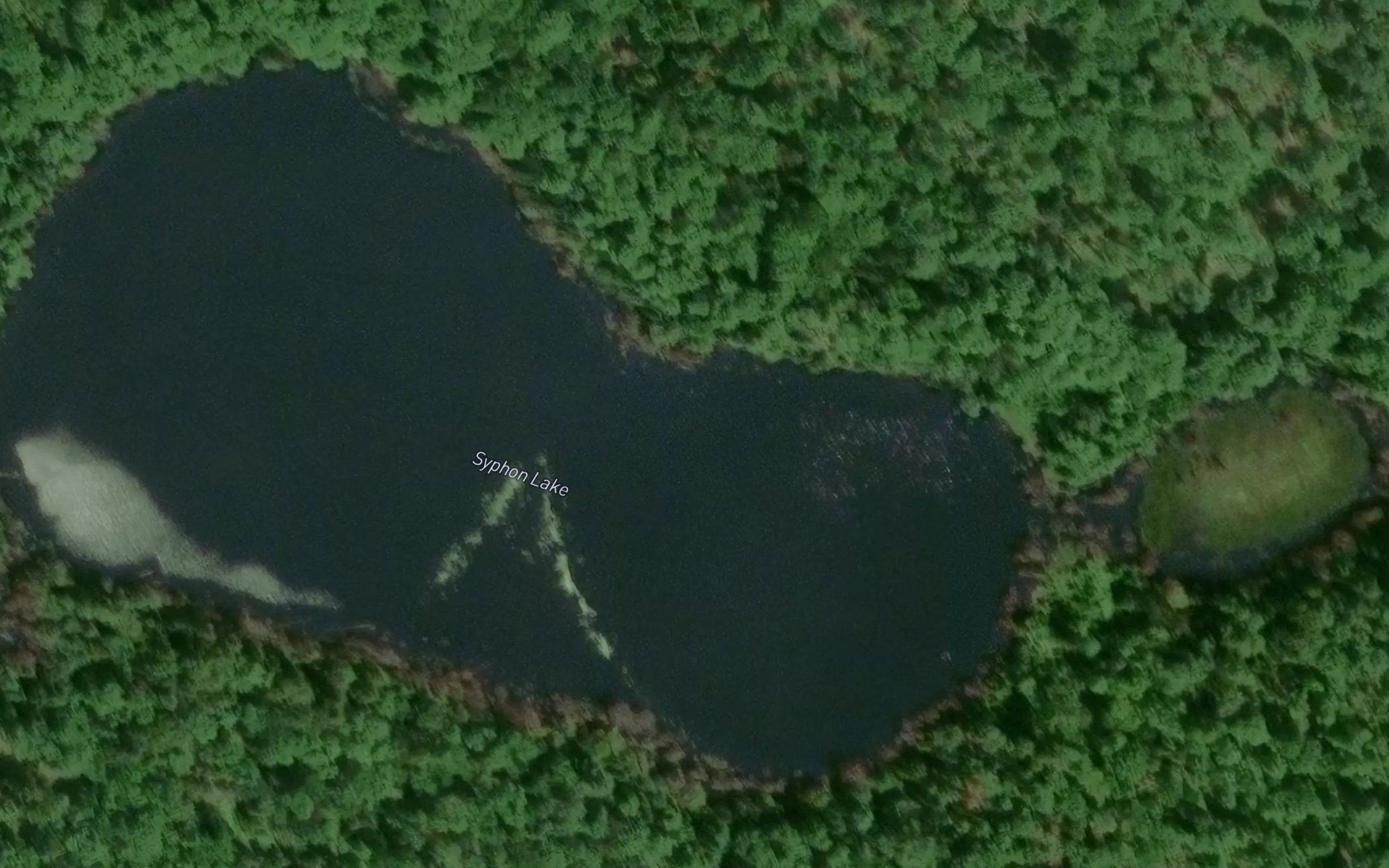 Syphon Lake