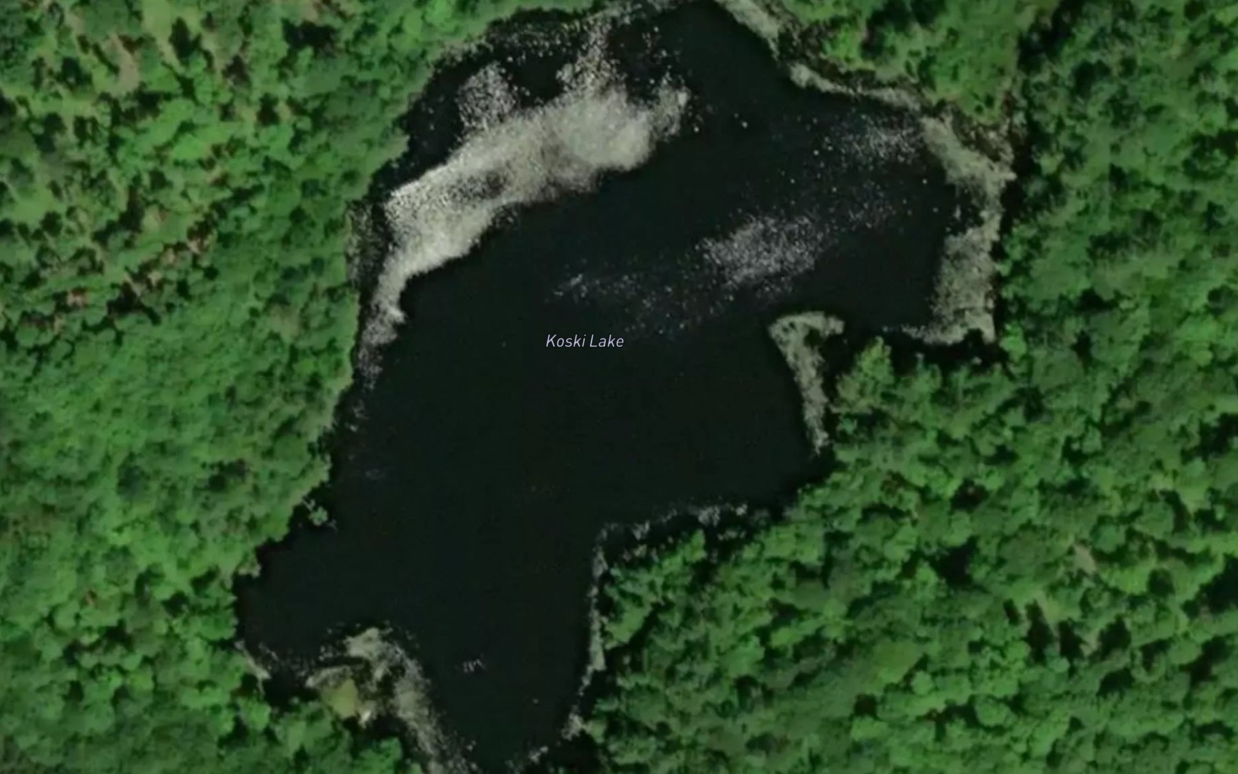 Satellite map of the Koski Lake