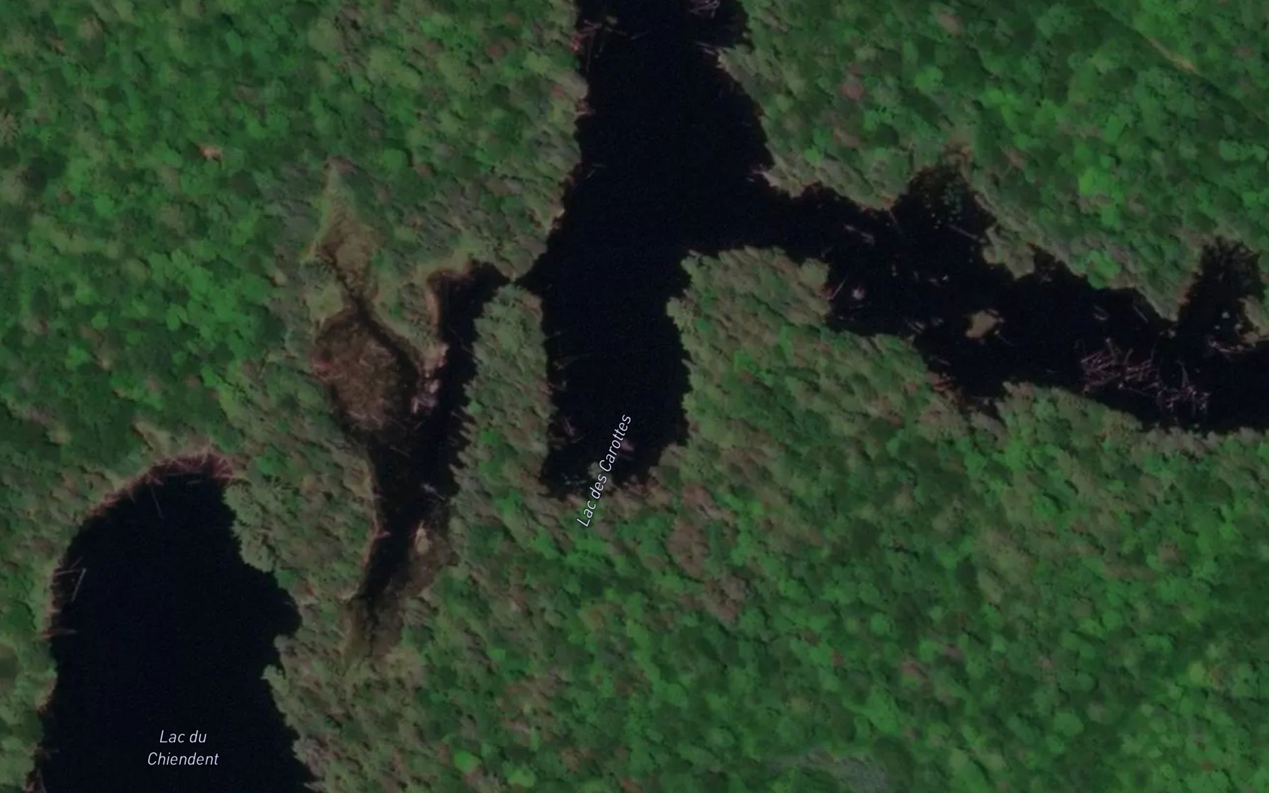 Satellite map of the Lac des Carottes