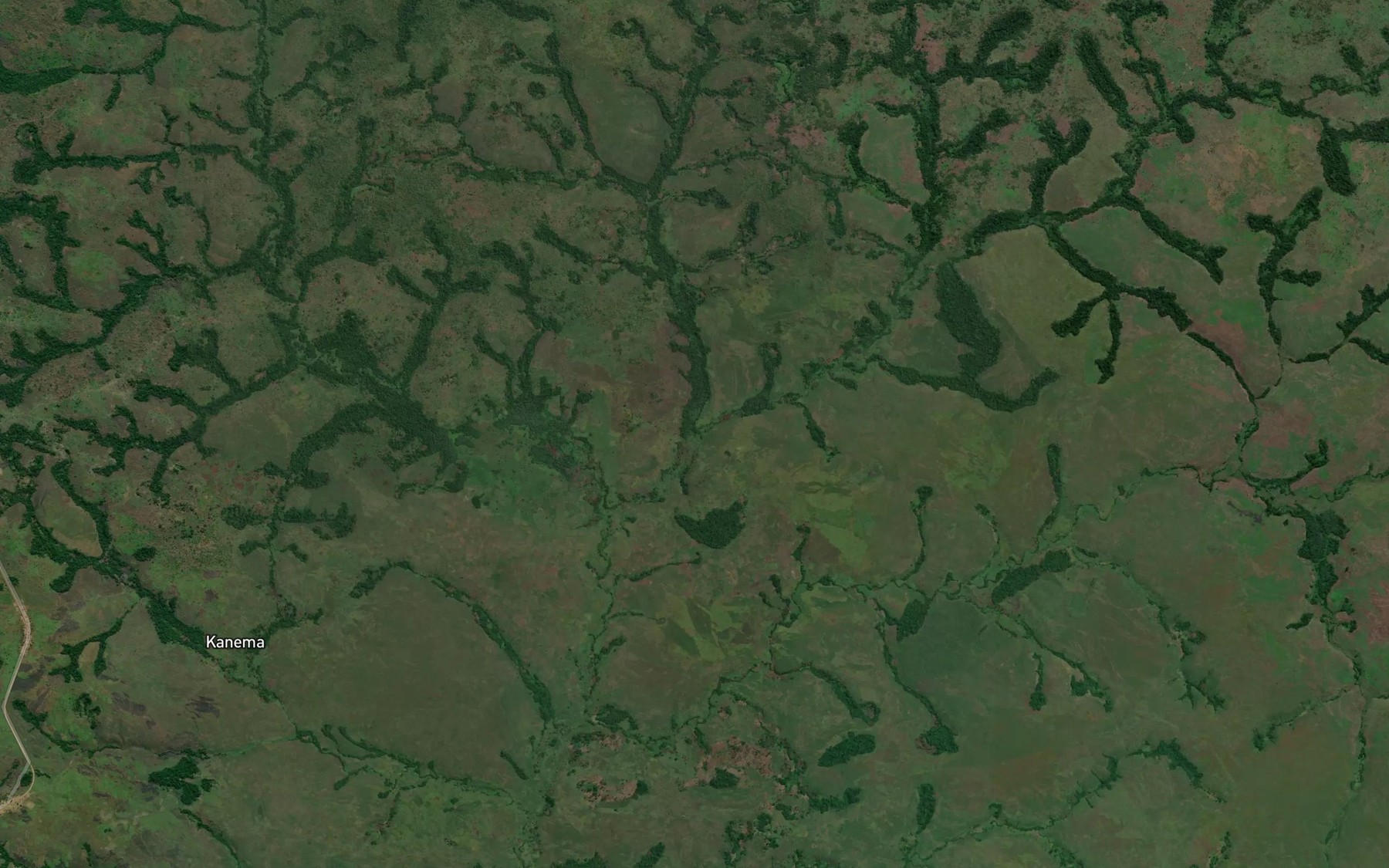 Satellite map of the Bwema