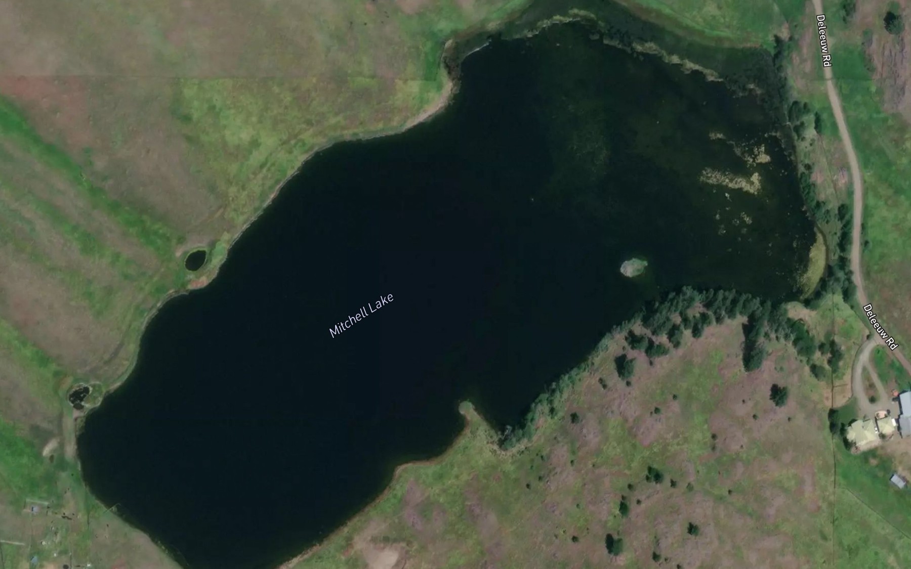Satellite map of the Mitchell Lake