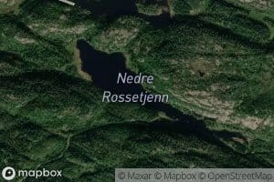 Nedre Rosstjenn