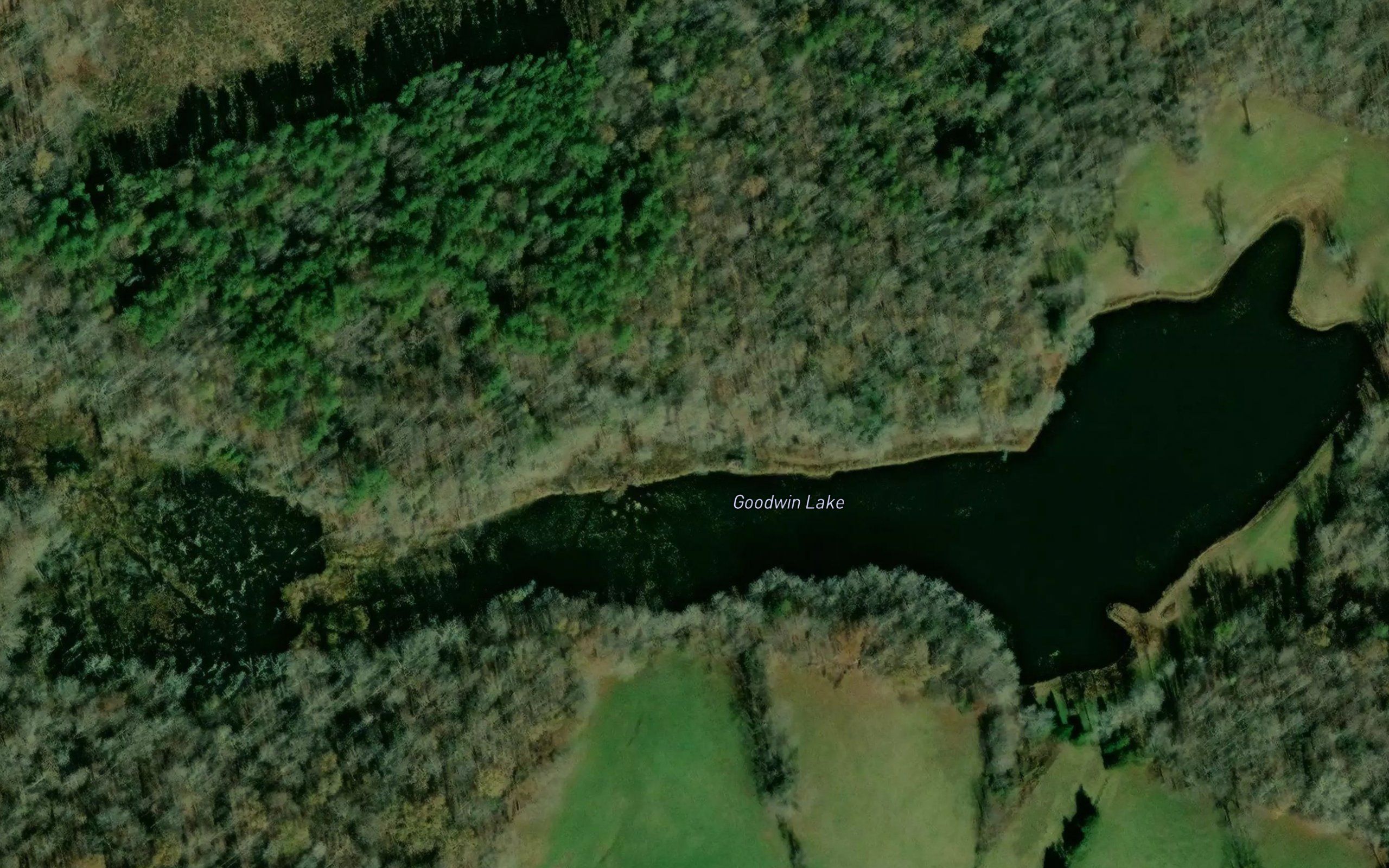 Goodwins Lake
