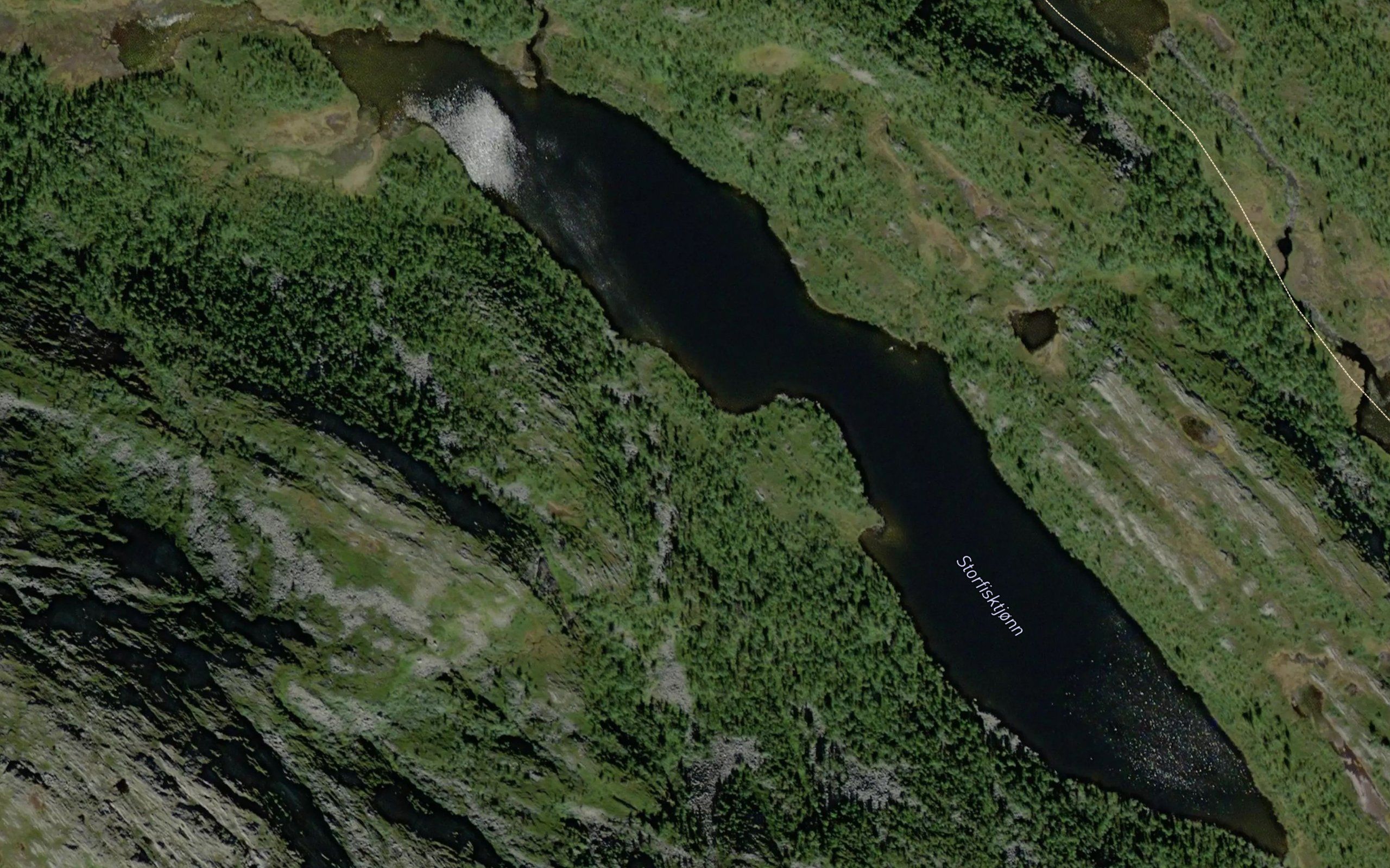 Storfisktjorn